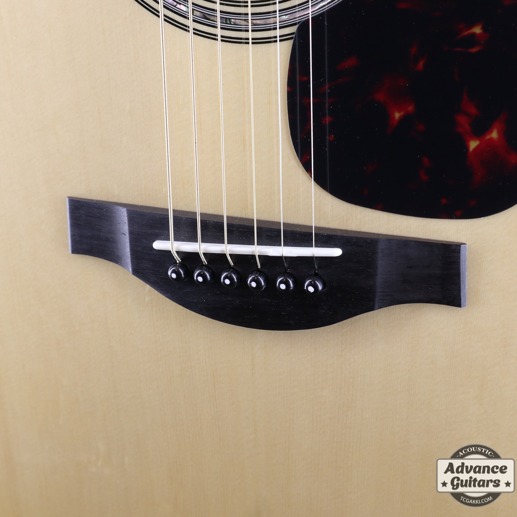 【新品】LL6 - TC楽器 - TCGAKKI