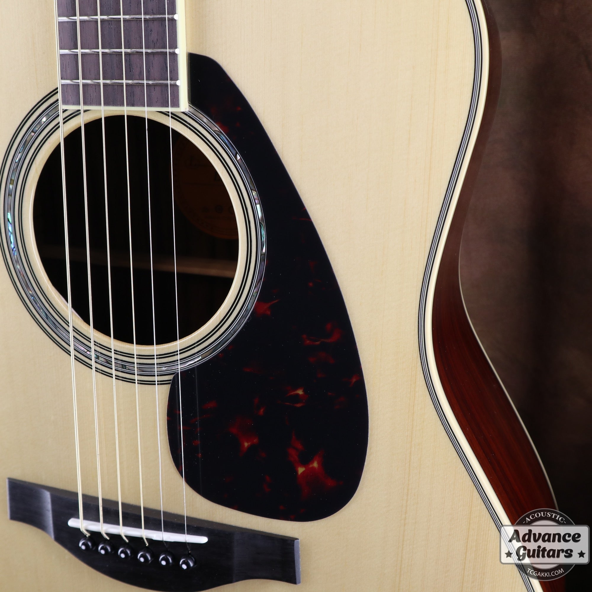 【新品】LL6 - TC楽器 - TCGAKKI