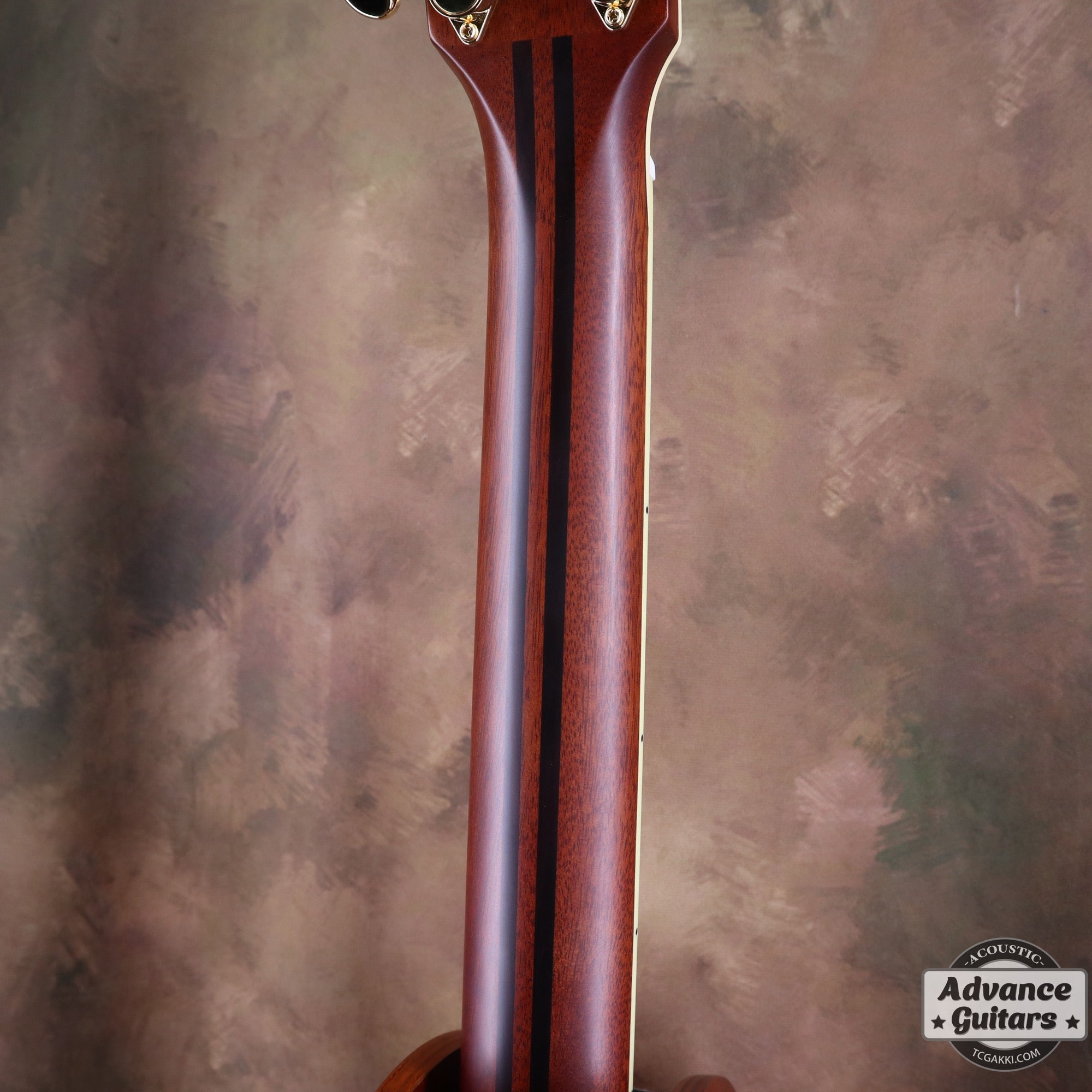 【新品】LL6 - TC楽器 - TCGAKKI