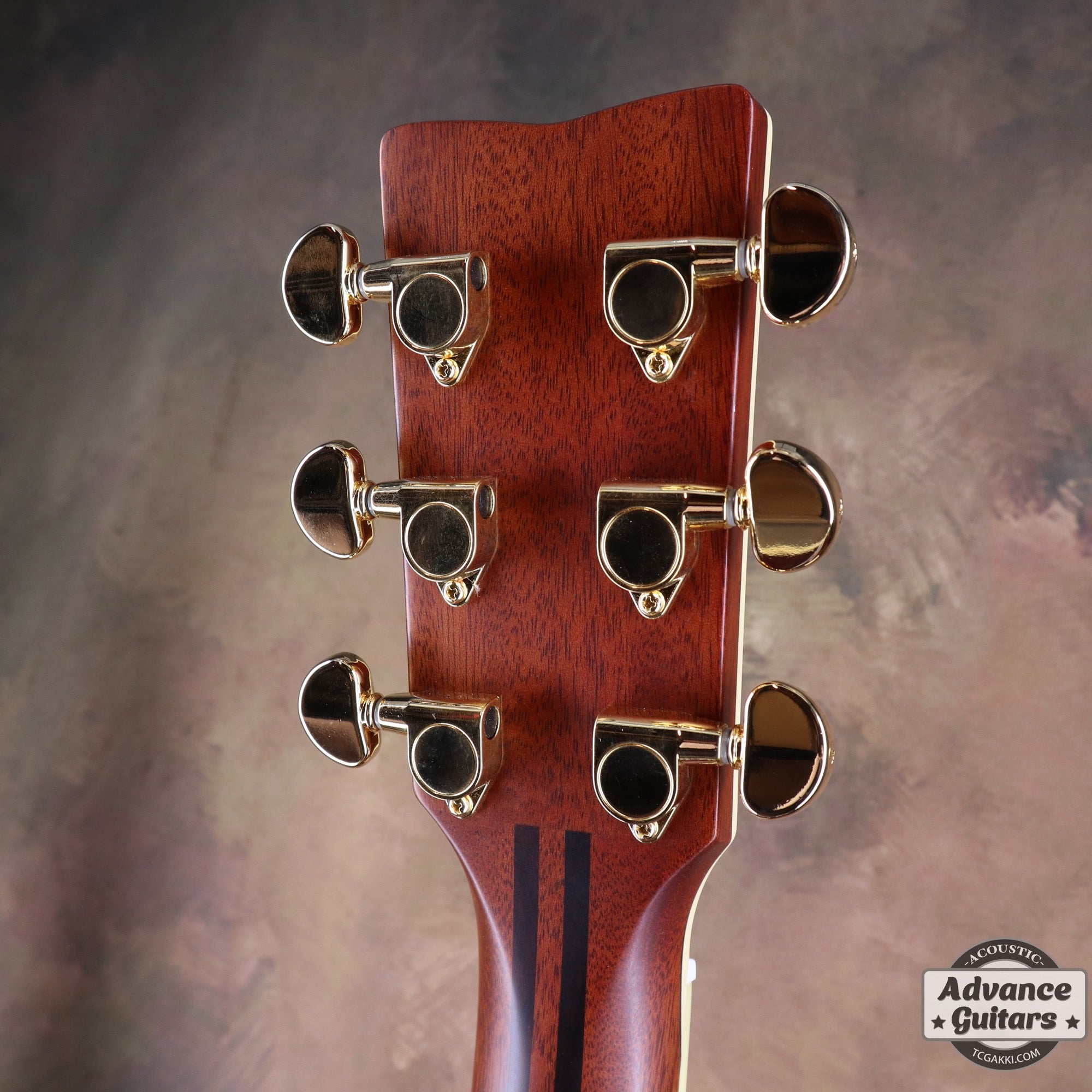 【新品】LL6 - TC楽器 - TCGAKKI