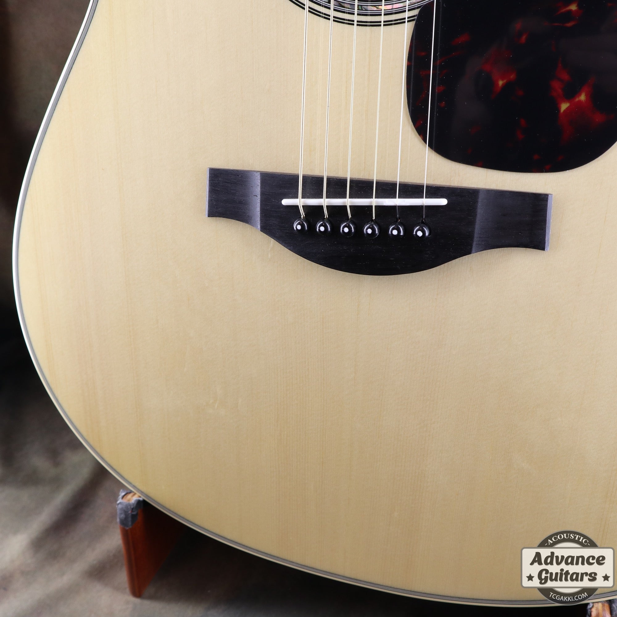 【新品】LL6 - TC楽器 - TCGAKKI