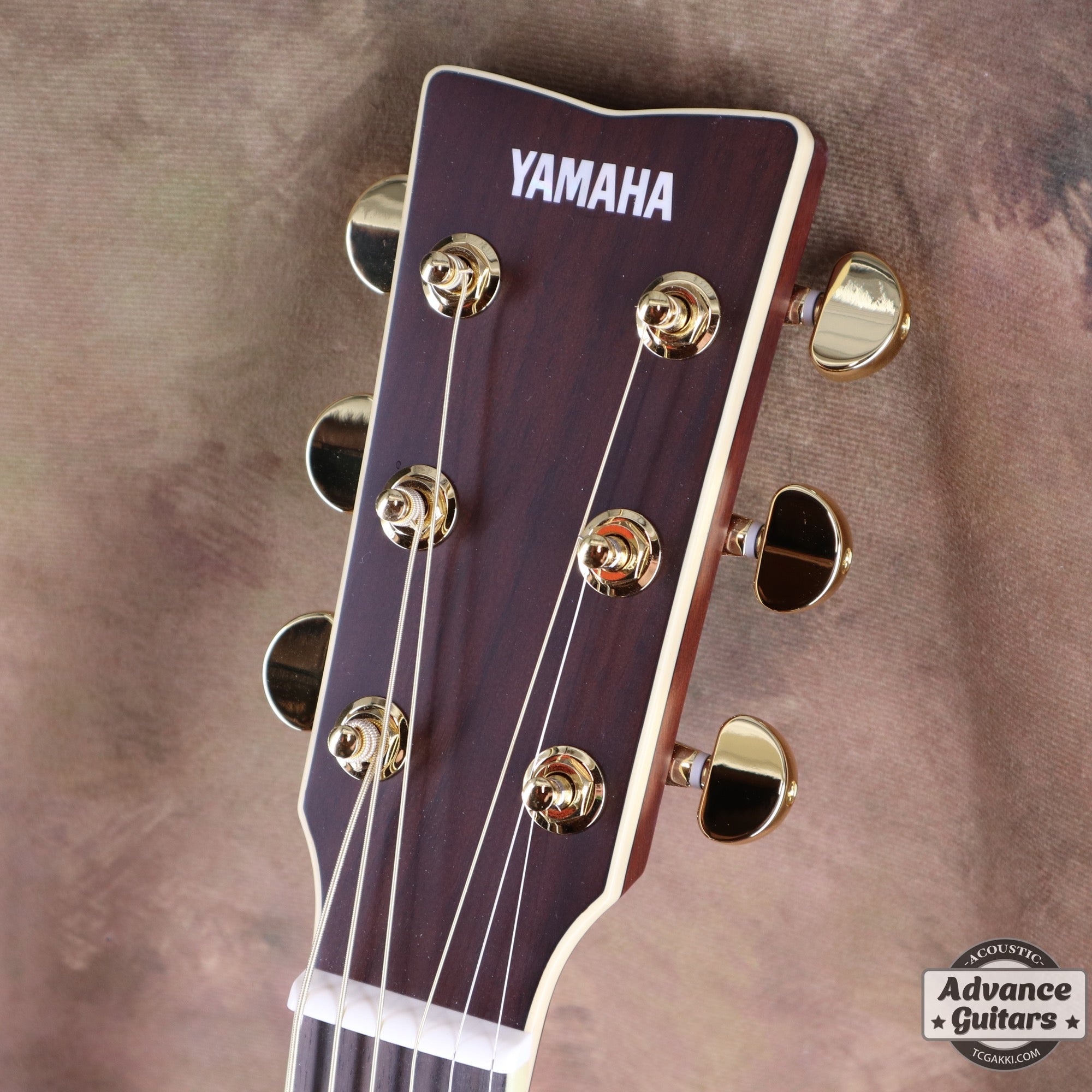 【新品】LL6 ARE - TC楽器 - TCGAKKI