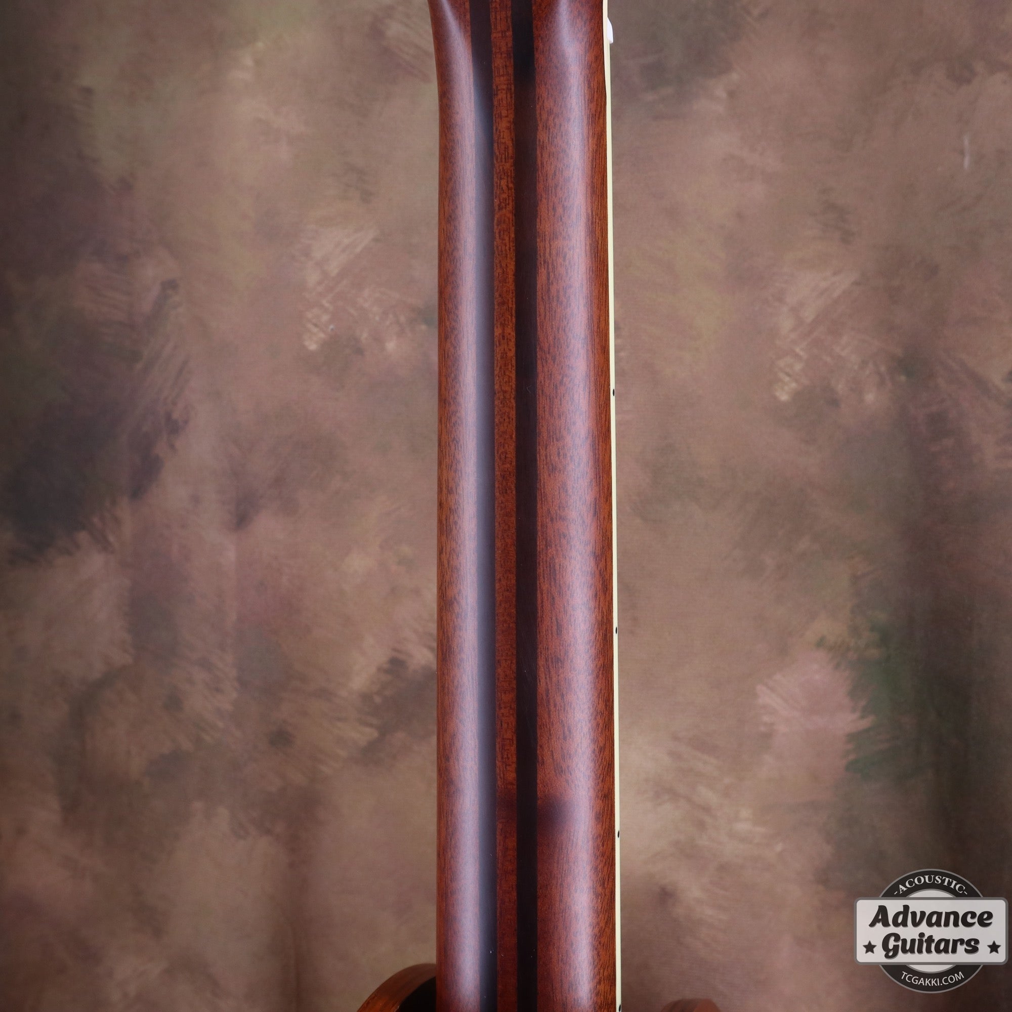 【新品】LL6 ARE - TC楽器 - TCGAKKI