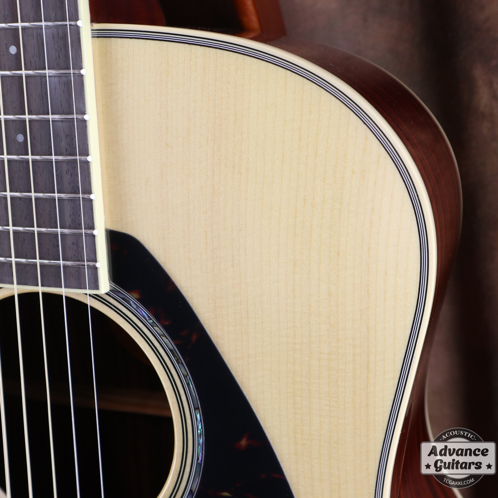 【新品】LL6 ARE - TC楽器 - TCGAKKI