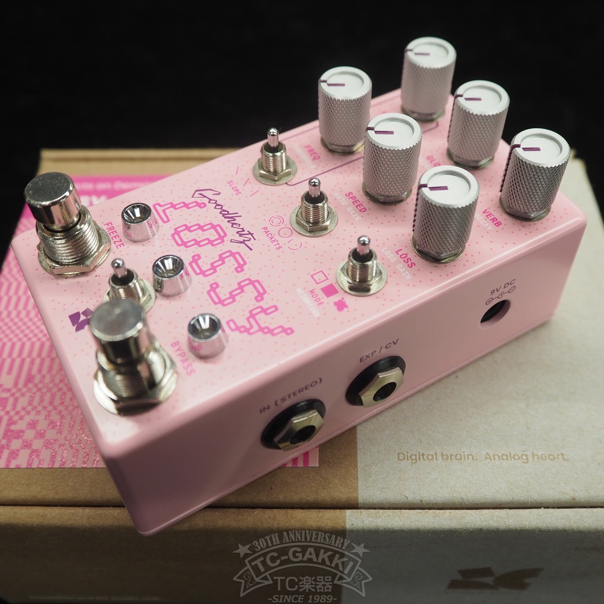 LOSSY - TC楽器 - TCGAKKI