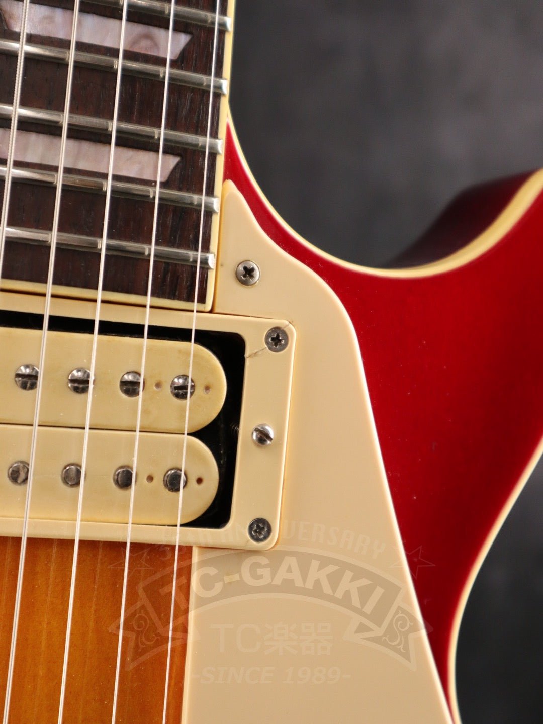 LS Model - TC楽器 - TCGAKKI