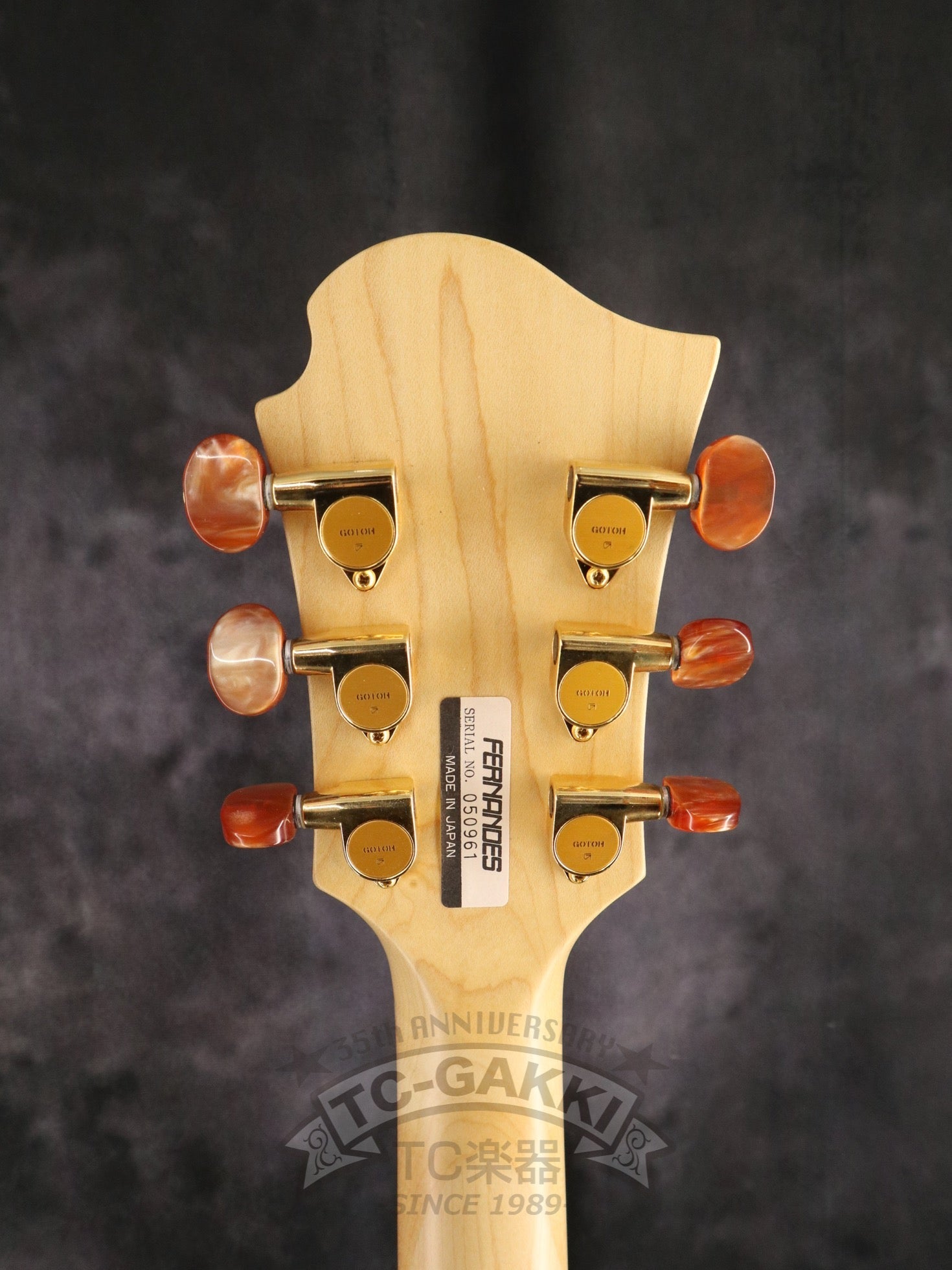 FERNANDES LSA-65EX