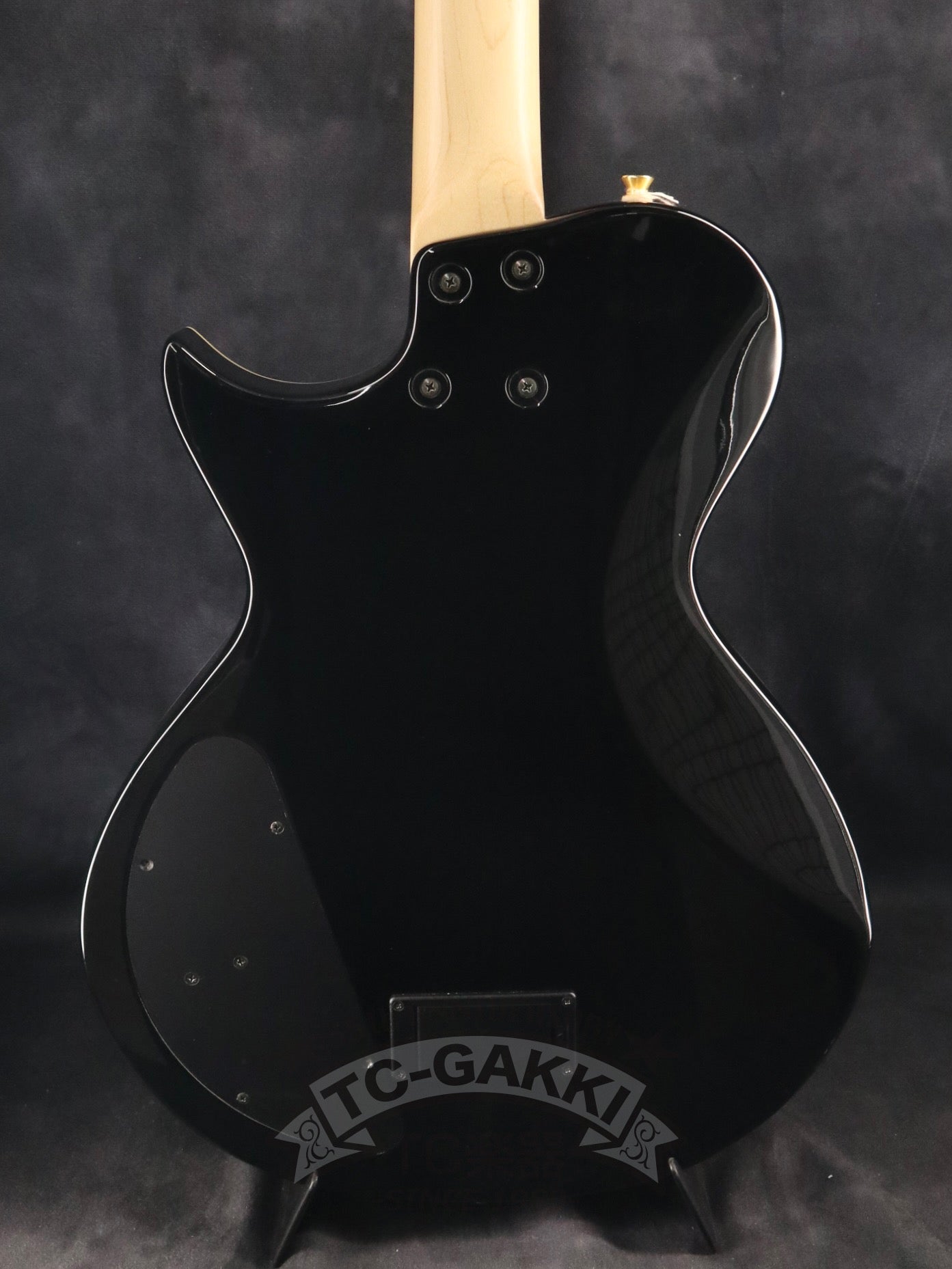 FERNANDES LSA-65EX - TC楽器 - TCGAKKI