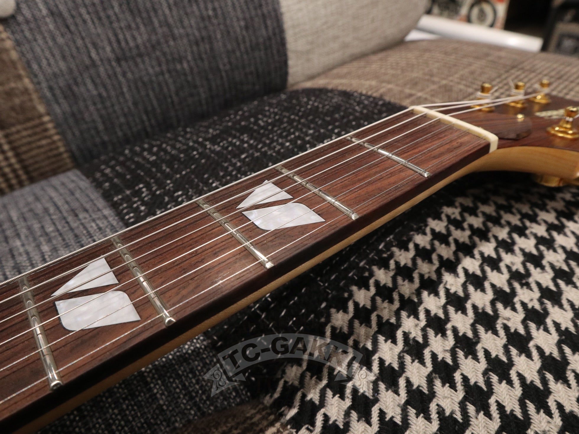 FERNANDES LSA-65EX - TC楽器 - TCGAKKI