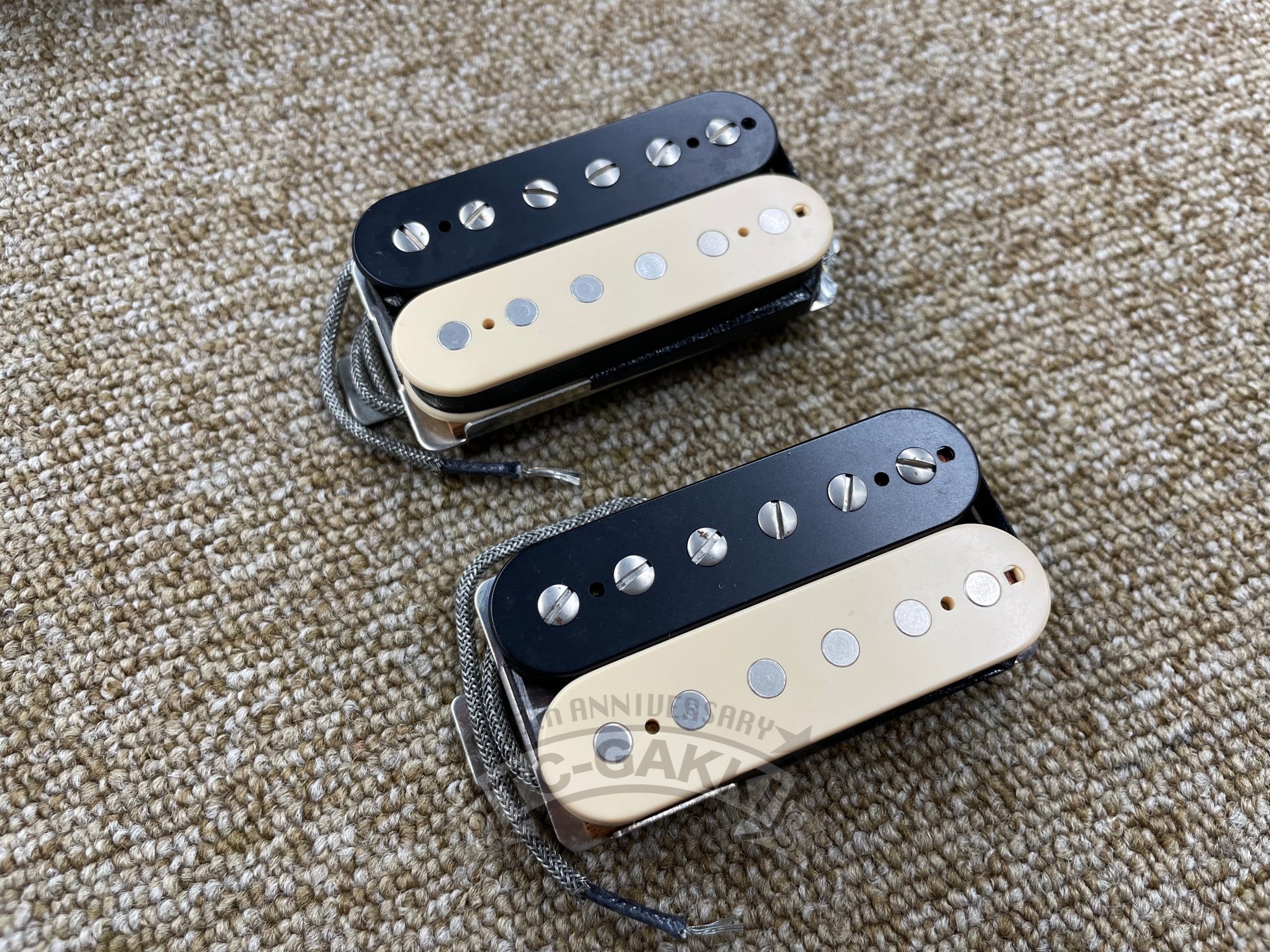 LTD H450 Classic & H455 Classic Set - TC楽器 - TCGAKKI