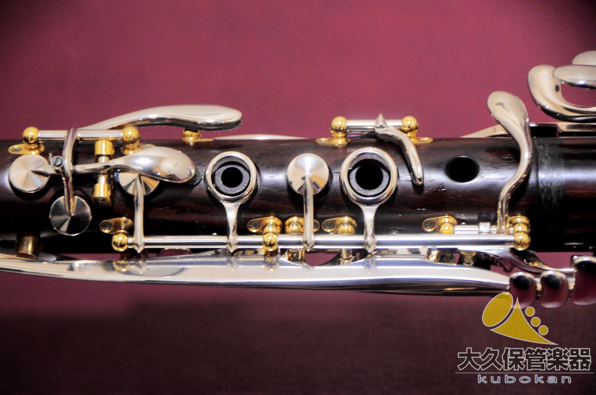 バックーン Lumière Cocobolo A ｜ A管クラリネット - TC楽器 - TCGAKKI