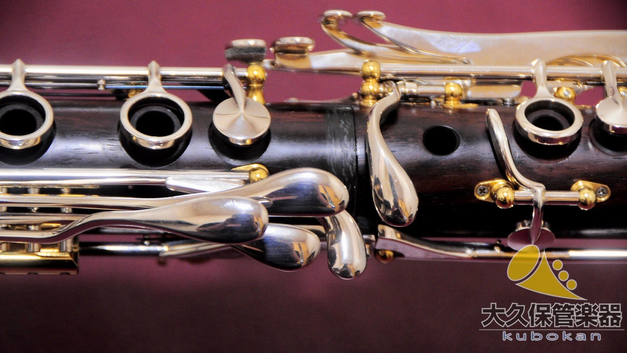 バックーン Lumière Cocobolo A ｜ A管クラリネット - TC楽器 - TCGAKKI