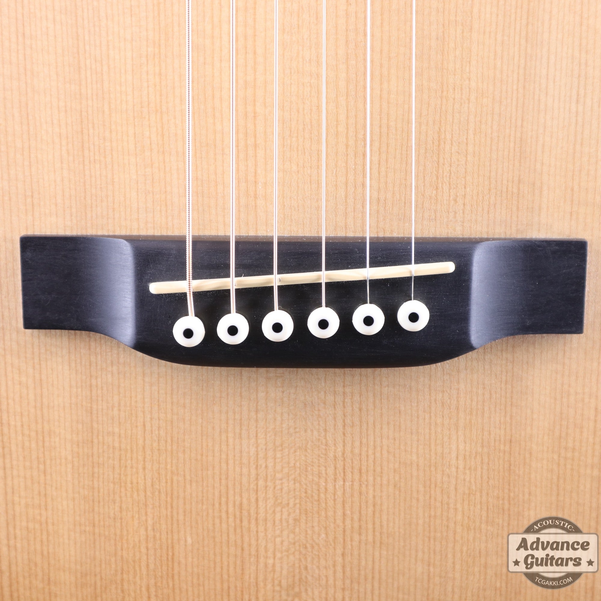 LX1 - TC楽器 - TCGAKKI