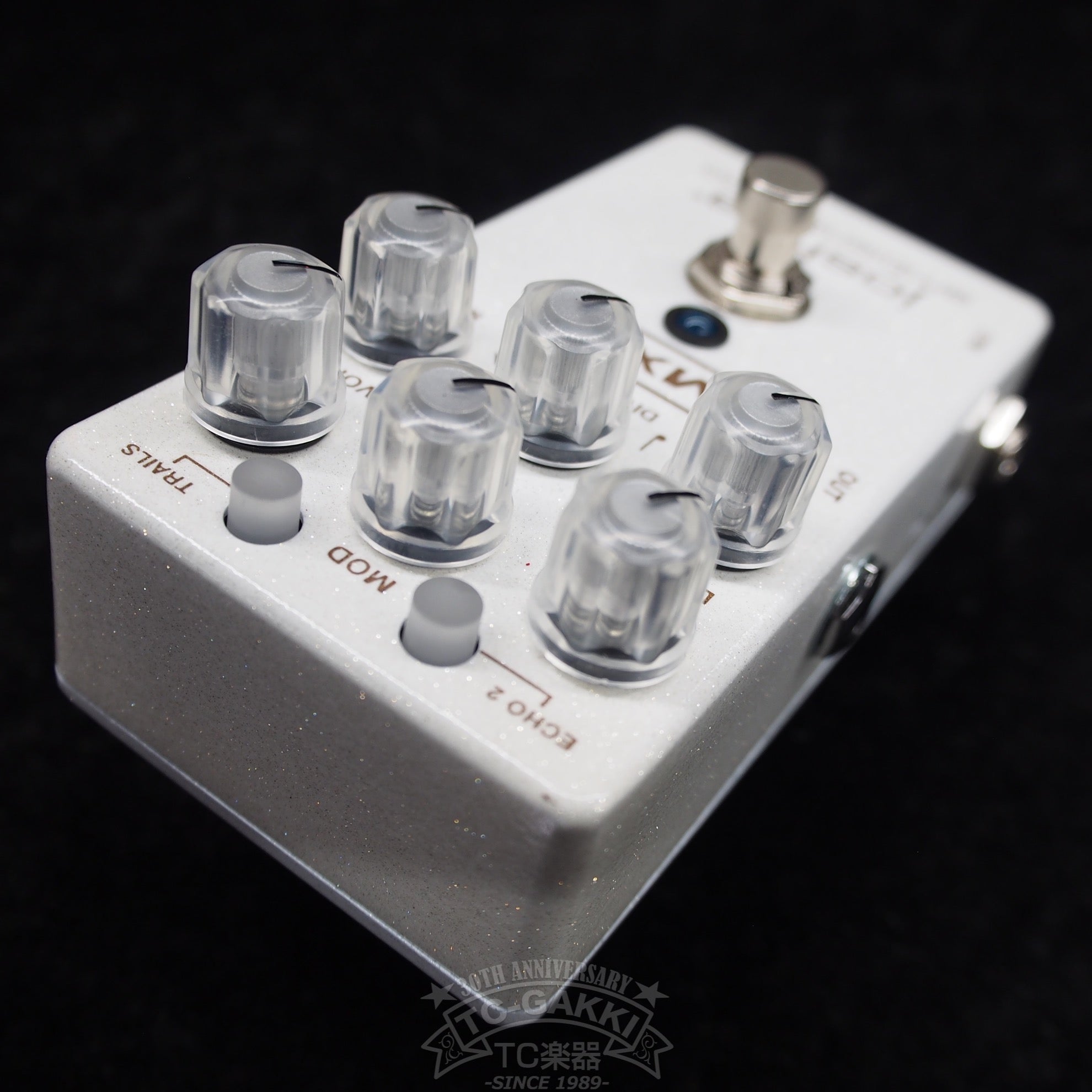 M - 309 joshua ambient echo - TC楽器 - TCGAKKI