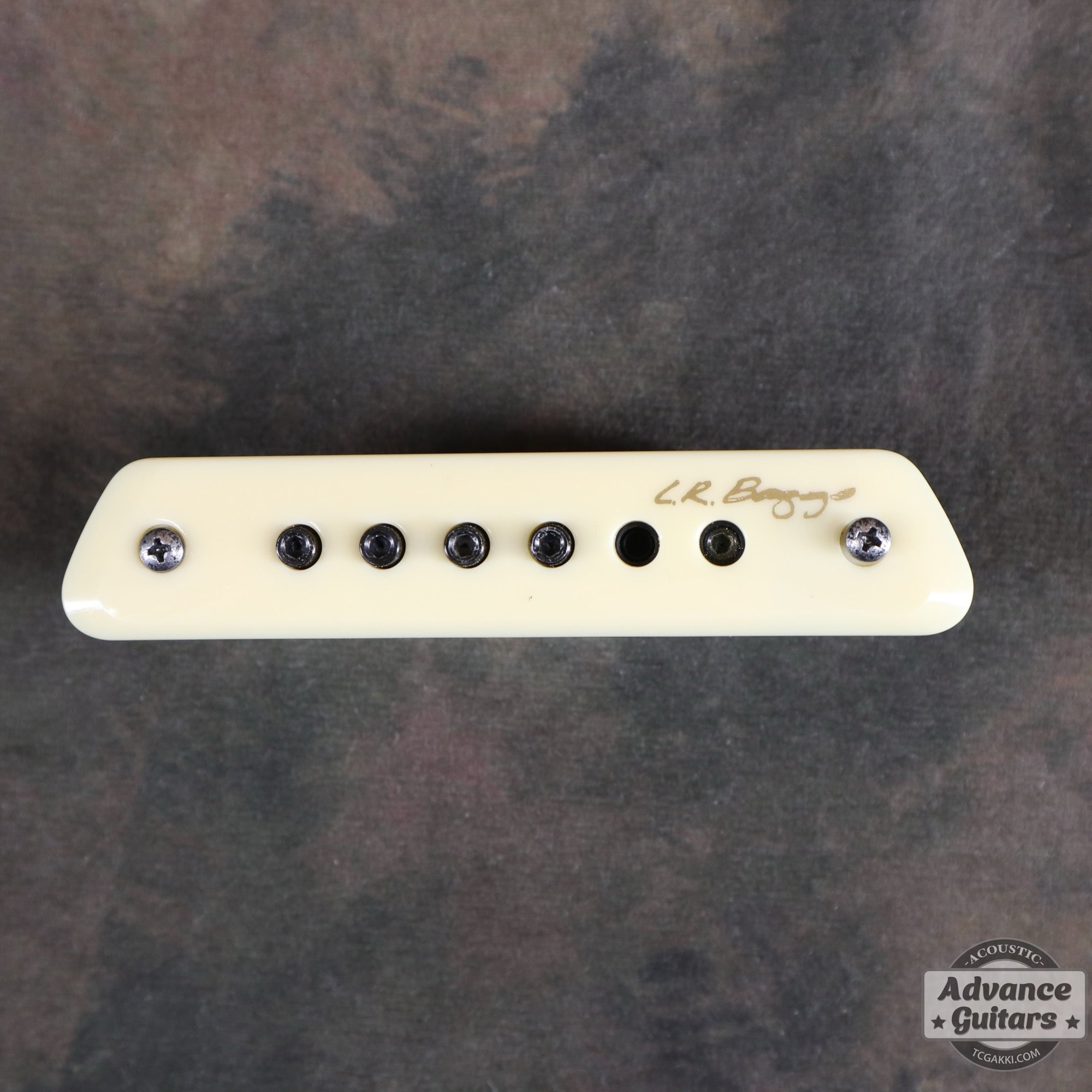 M1 Passive - TC楽器 - TCGAKKI