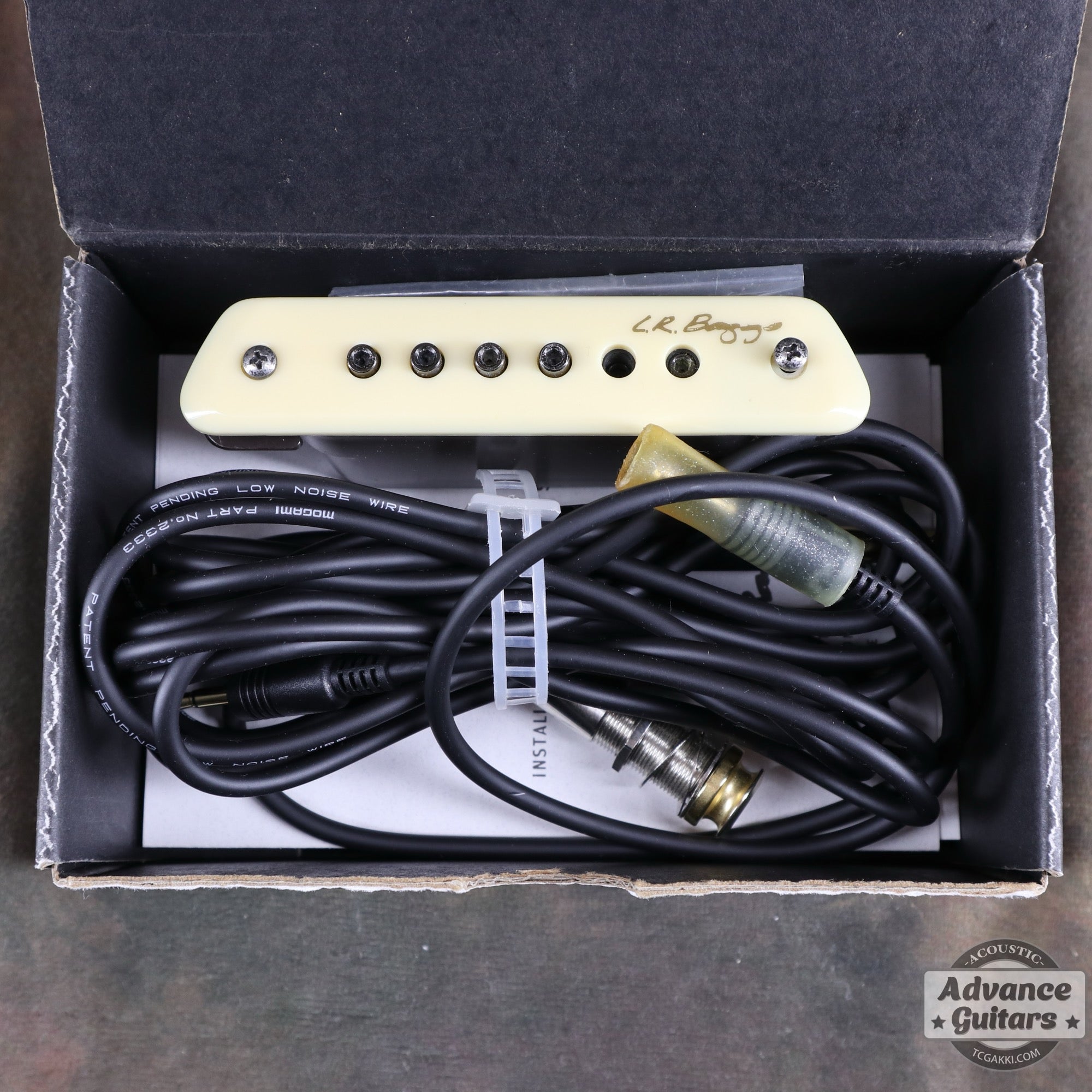 M1 Passive - TC楽器 - TCGAKKI