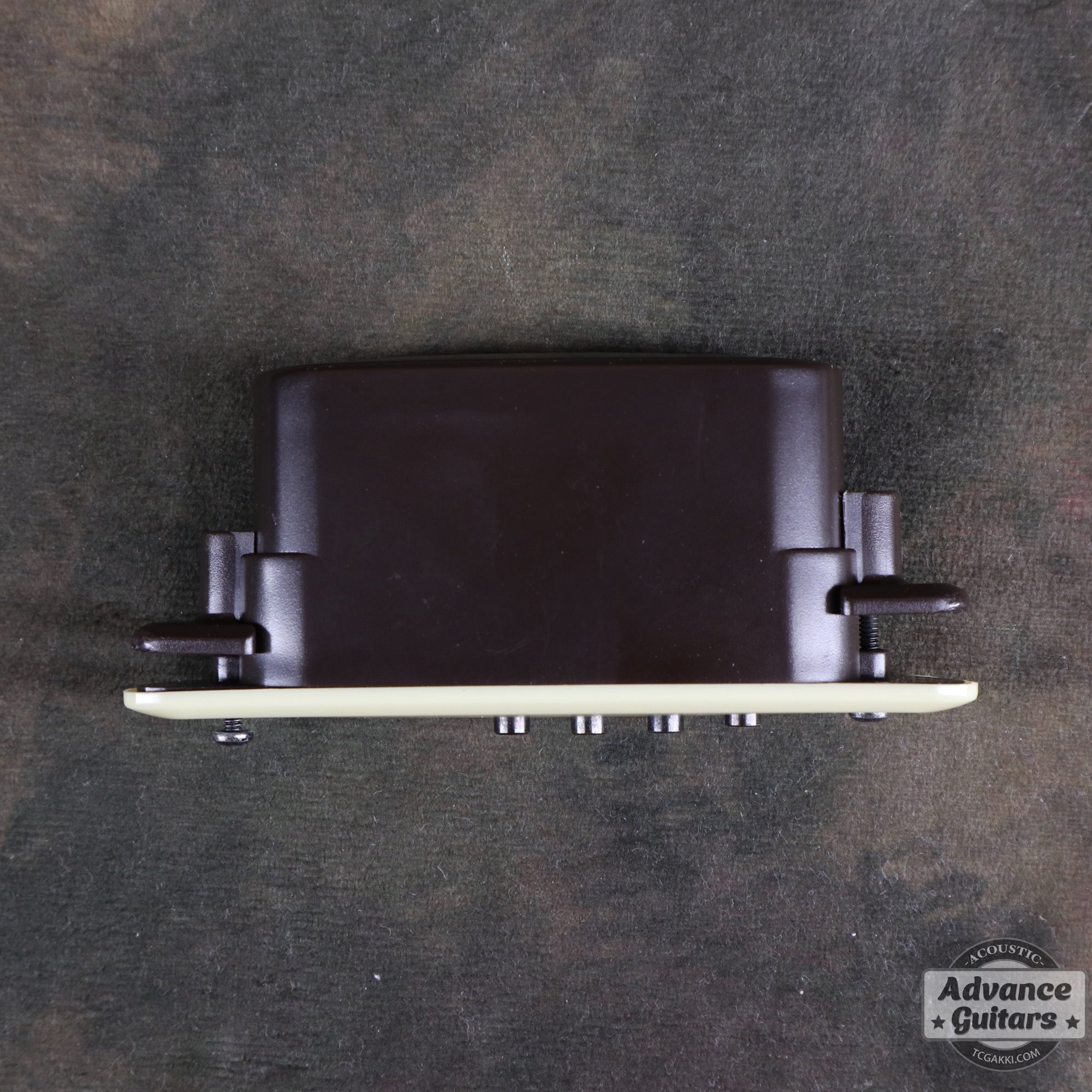 M1 Passive - TC楽器 - TCGAKKI