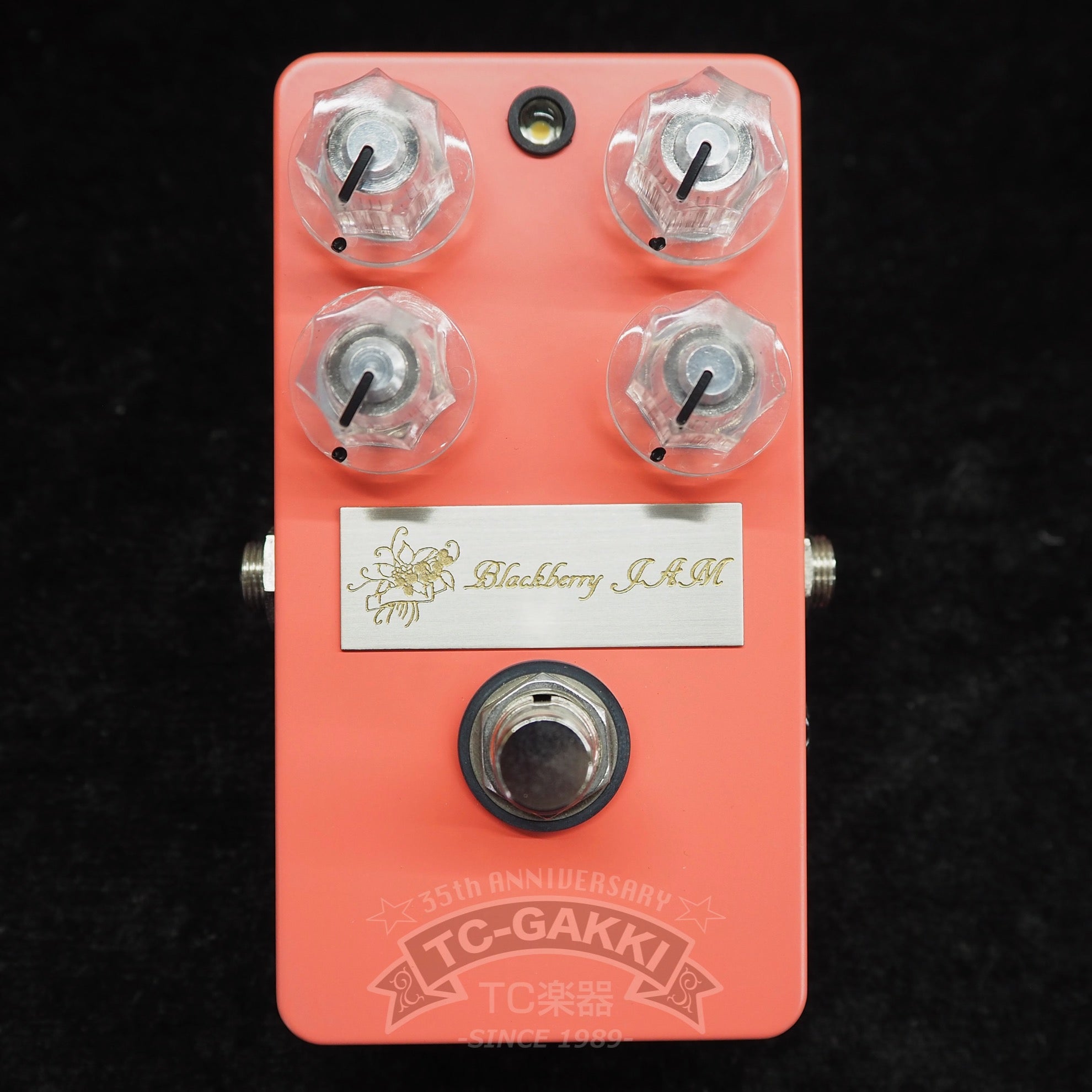 Macaron - TC楽器 - TCGAKKI