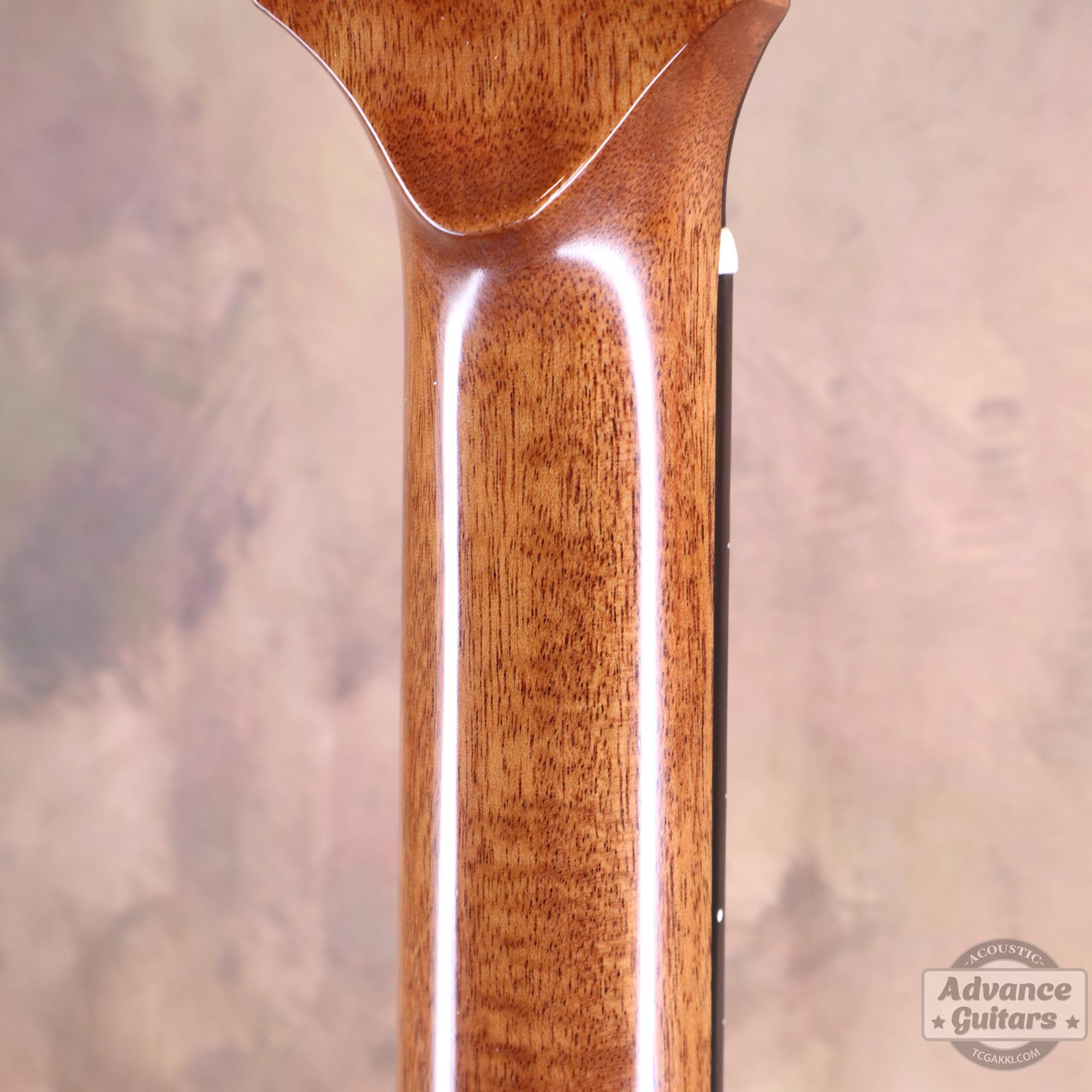 Mahogany Early Slope Shoulder Advance Guitars Signature Model - TC楽器 - TCGAKKI