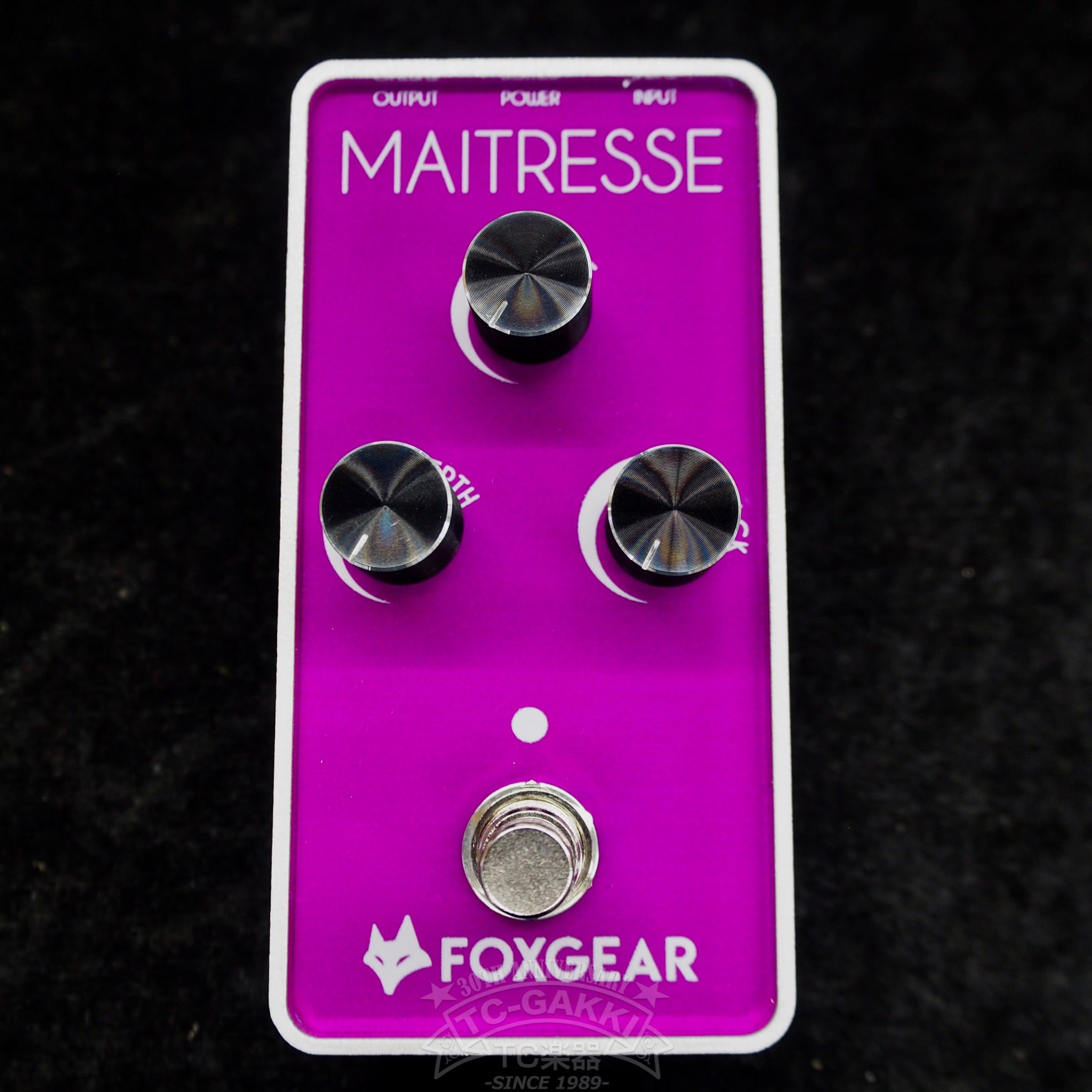 FOXGEAR MAITRESSE VINTAGE ANALOG FLANGER - TC楽器 - TCGAKKI