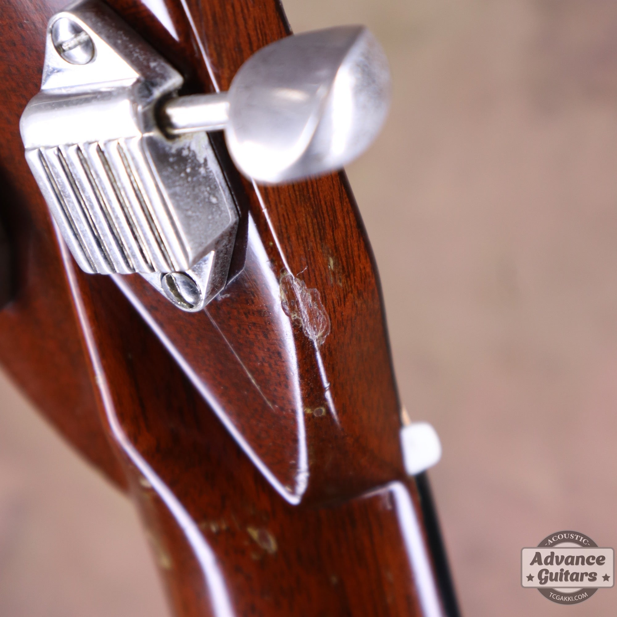 Martin 1955年製 D - 28 - TC楽器 - TCGAKKI