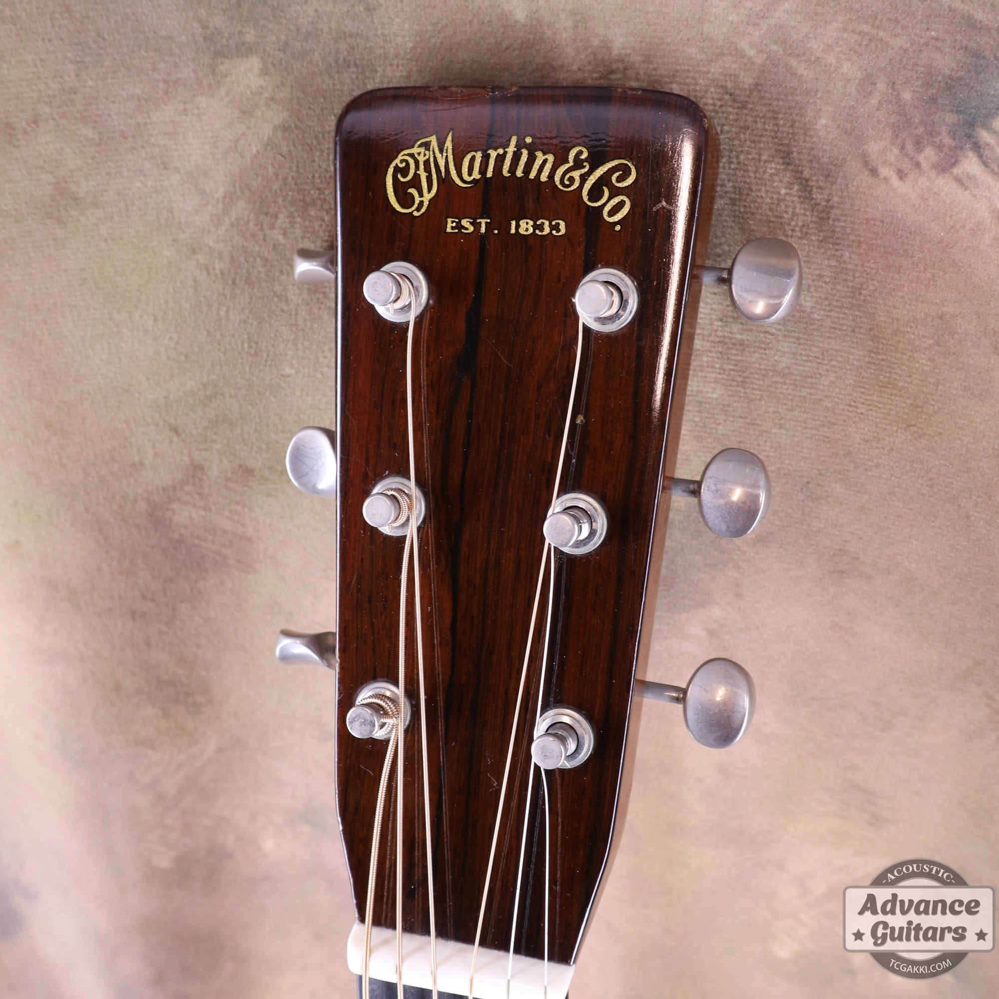 Martin 1955年製 D - 28 - TC楽器 - TCGAKKI