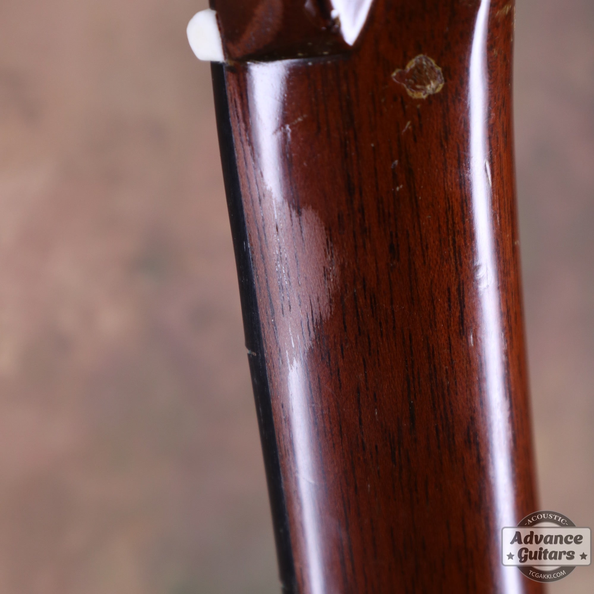 Martin 1955年製 D - 28 - TC楽器 - TCGAKKI