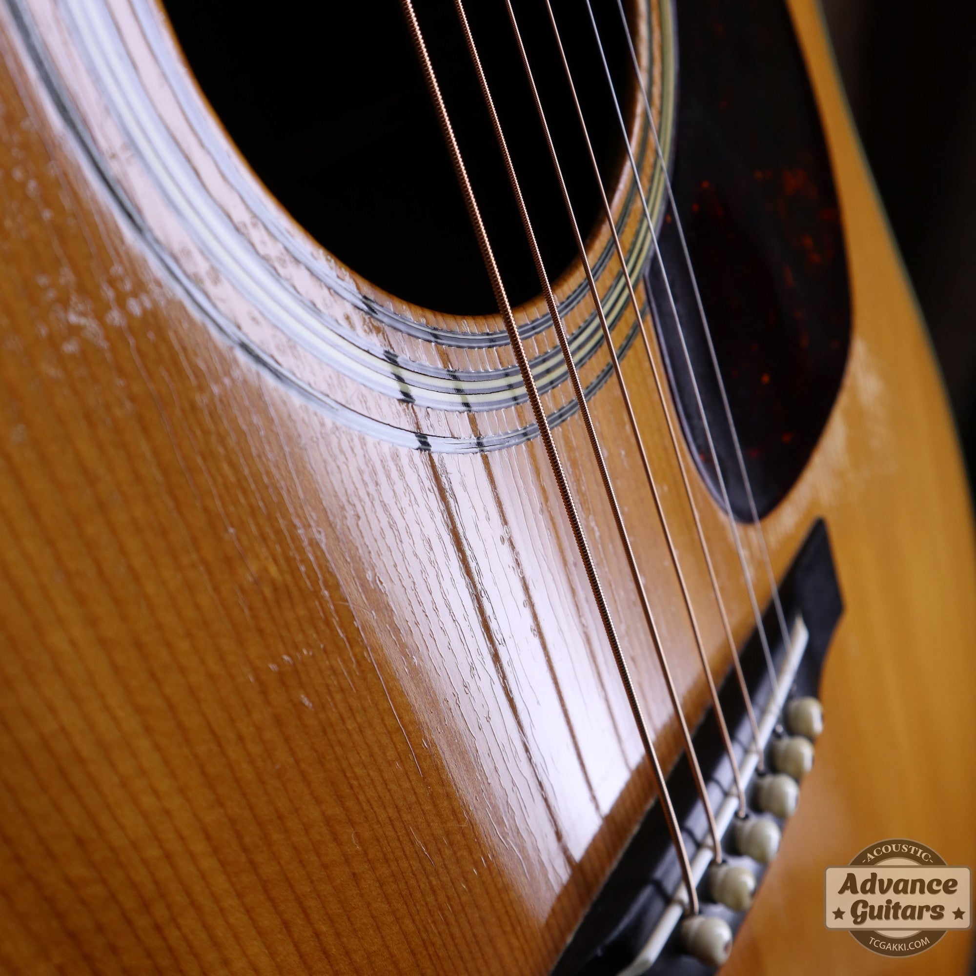 Martin 1955年製 D - 28 - TC楽器 - TCGAKKI
