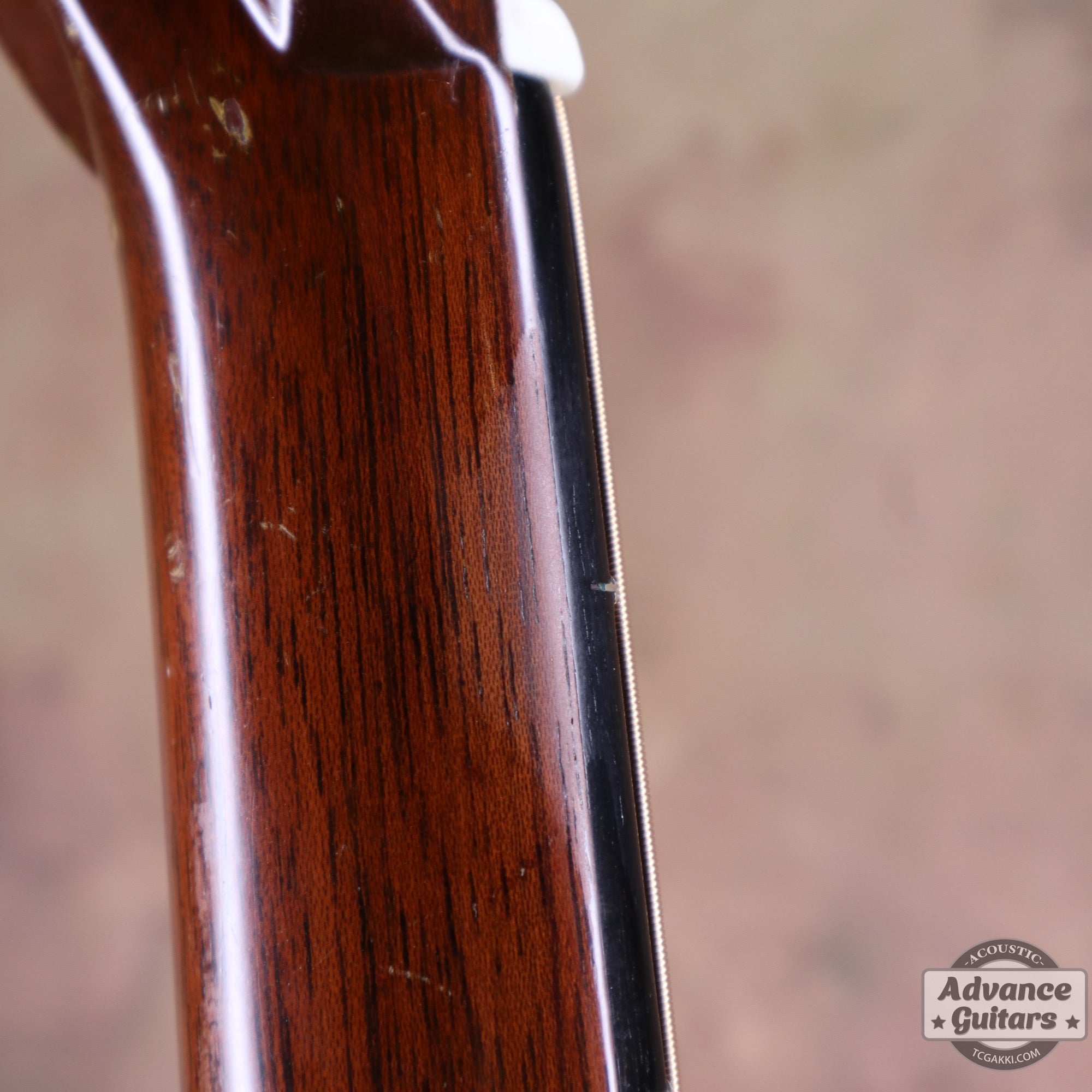 Martin 1955年製 D - 28 - TC楽器 - TCGAKKI