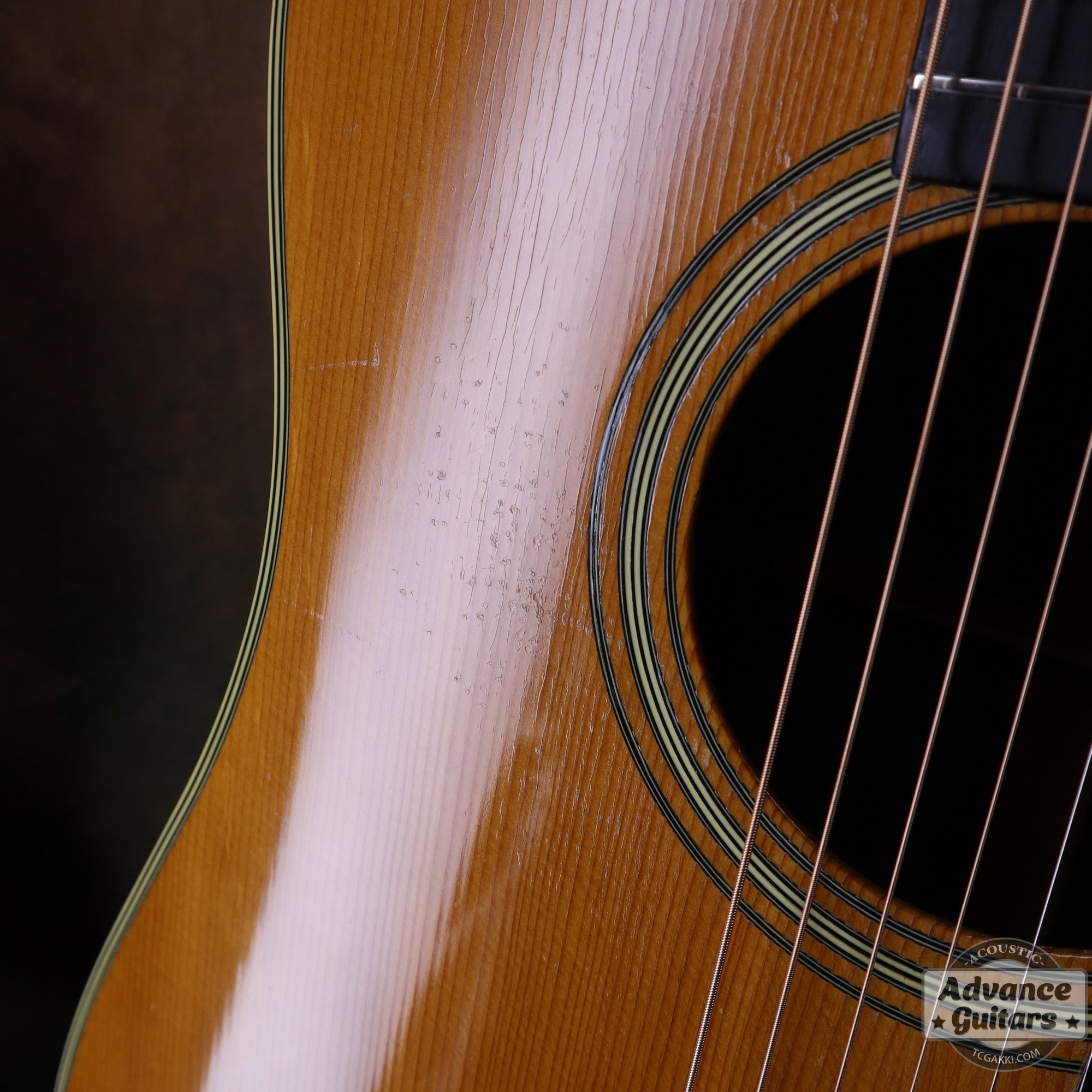 Martin 1955年製 D - 28 - TC楽器 - TCGAKKI