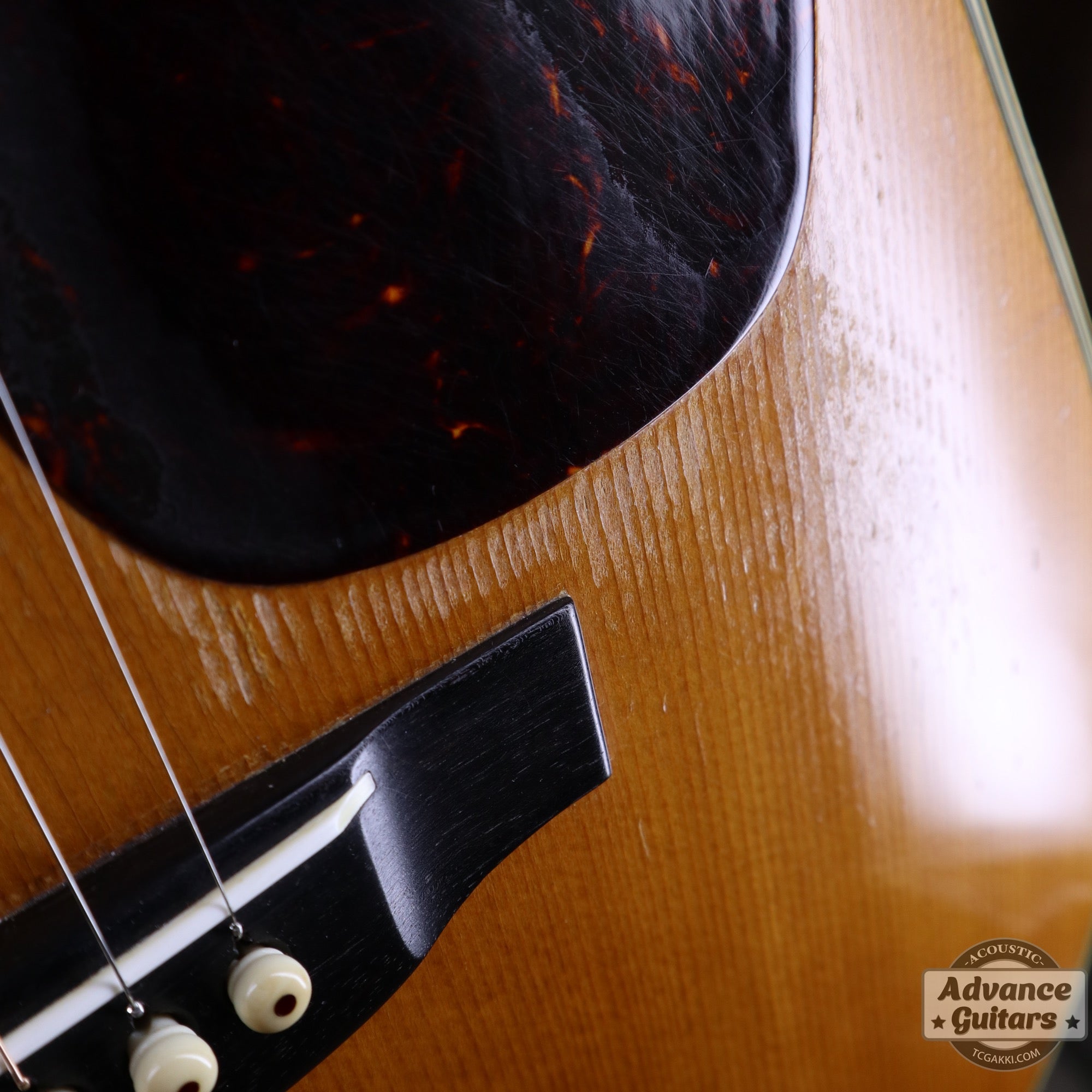 Martin 1955年製 D - 28 - TC楽器 - TCGAKKI