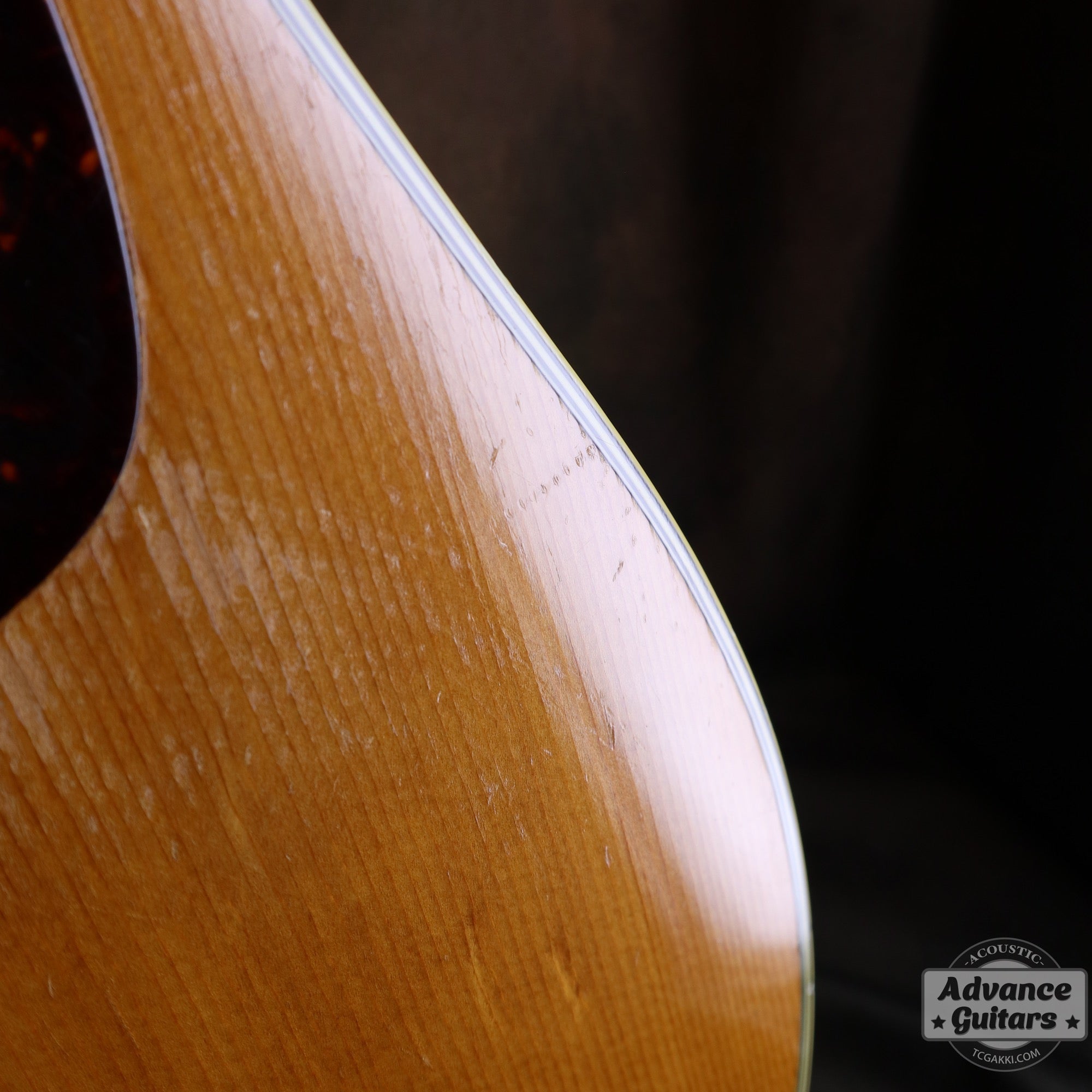 Martin 1955年製 D - 28 - TC楽器 - TCGAKKI