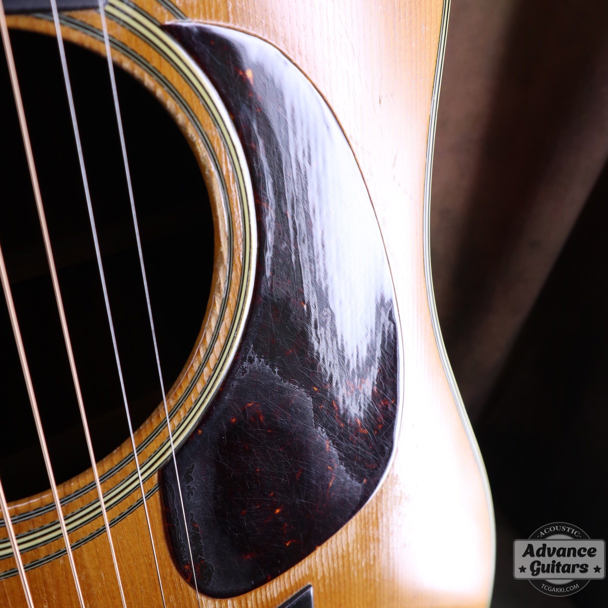 Martin 1955年製 D - 28 - TC楽器 - TCGAKKI