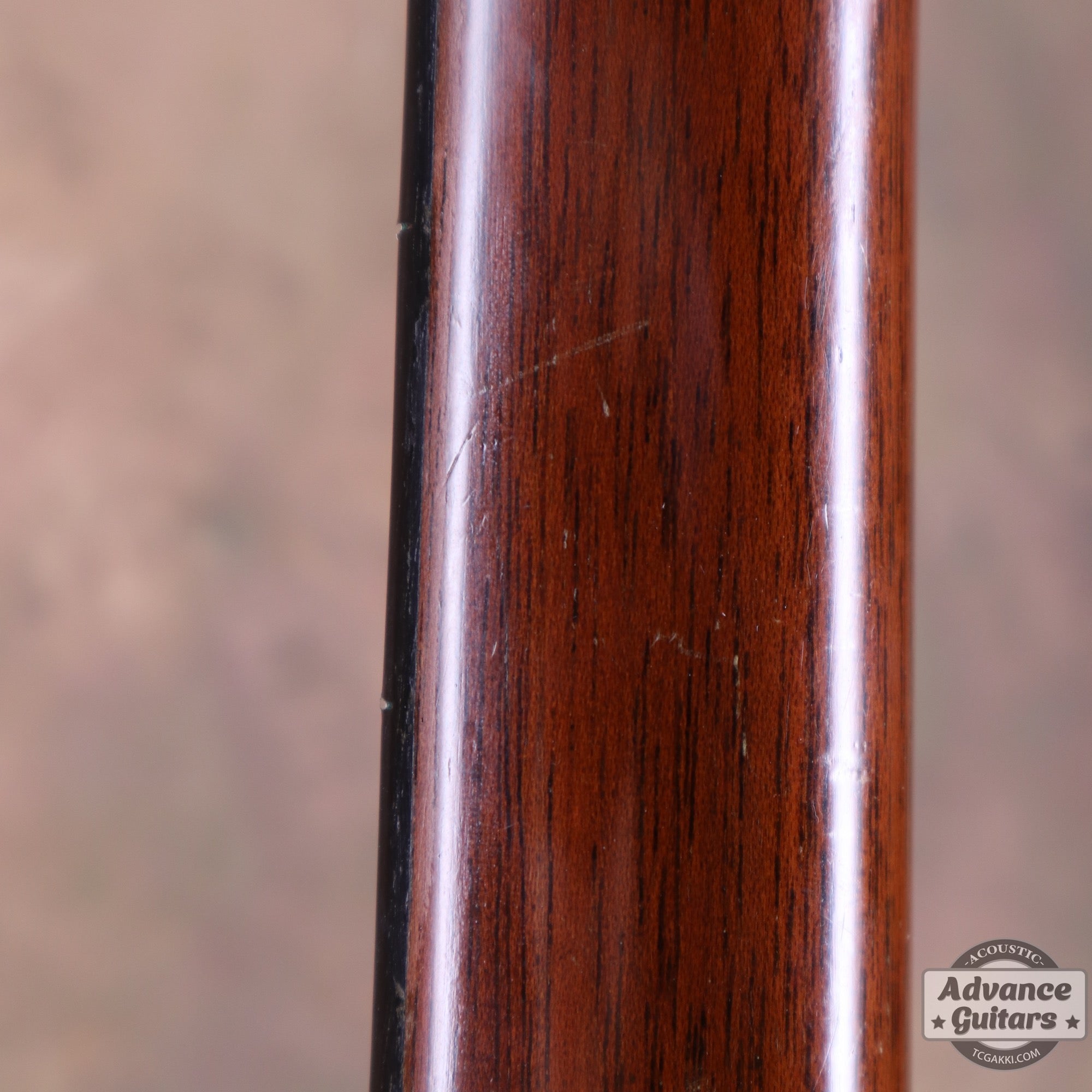 Martin 1955年製 D - 28 - TC楽器 - TCGAKKI