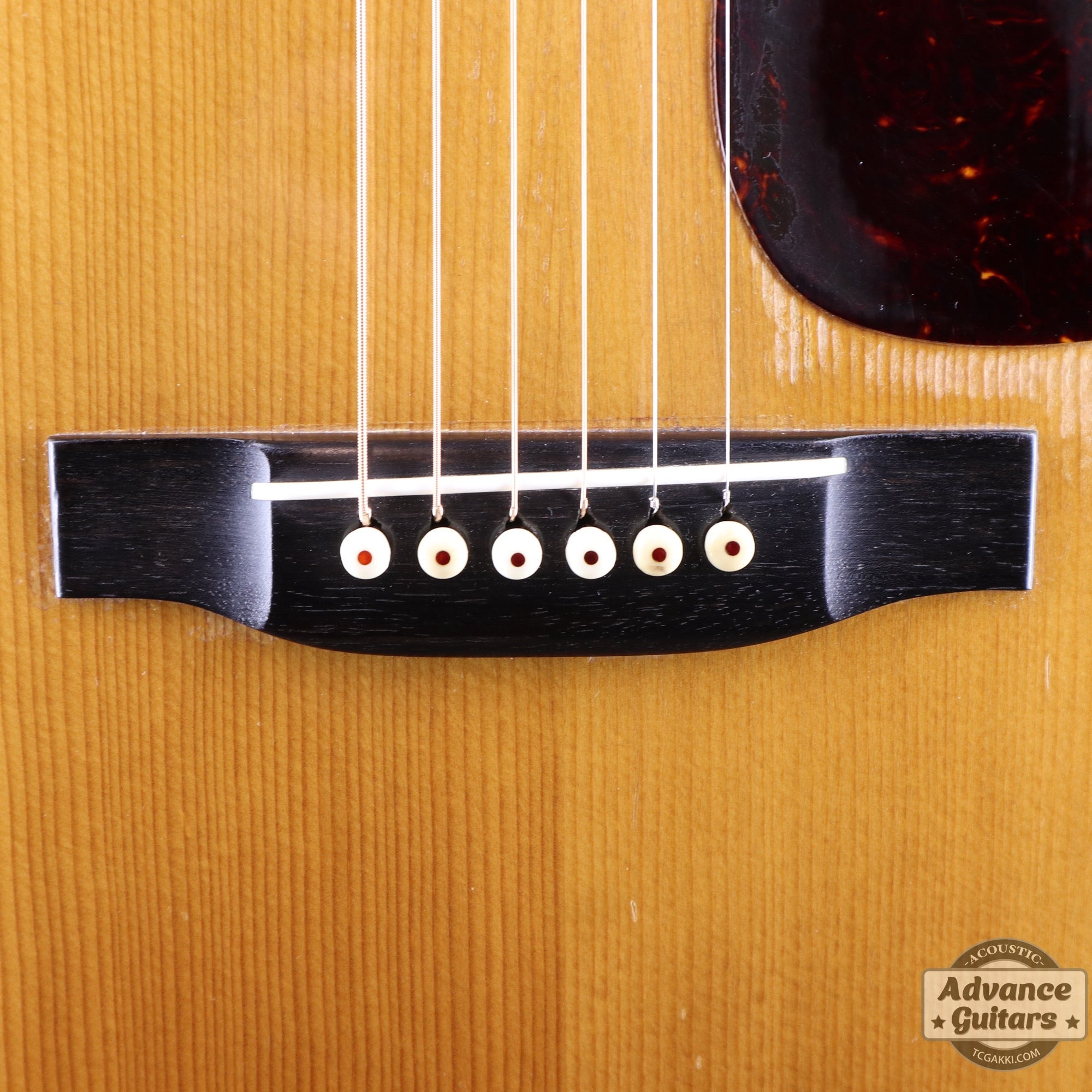 Martin 1955年製 D - 28 - TC楽器 - TCGAKKI