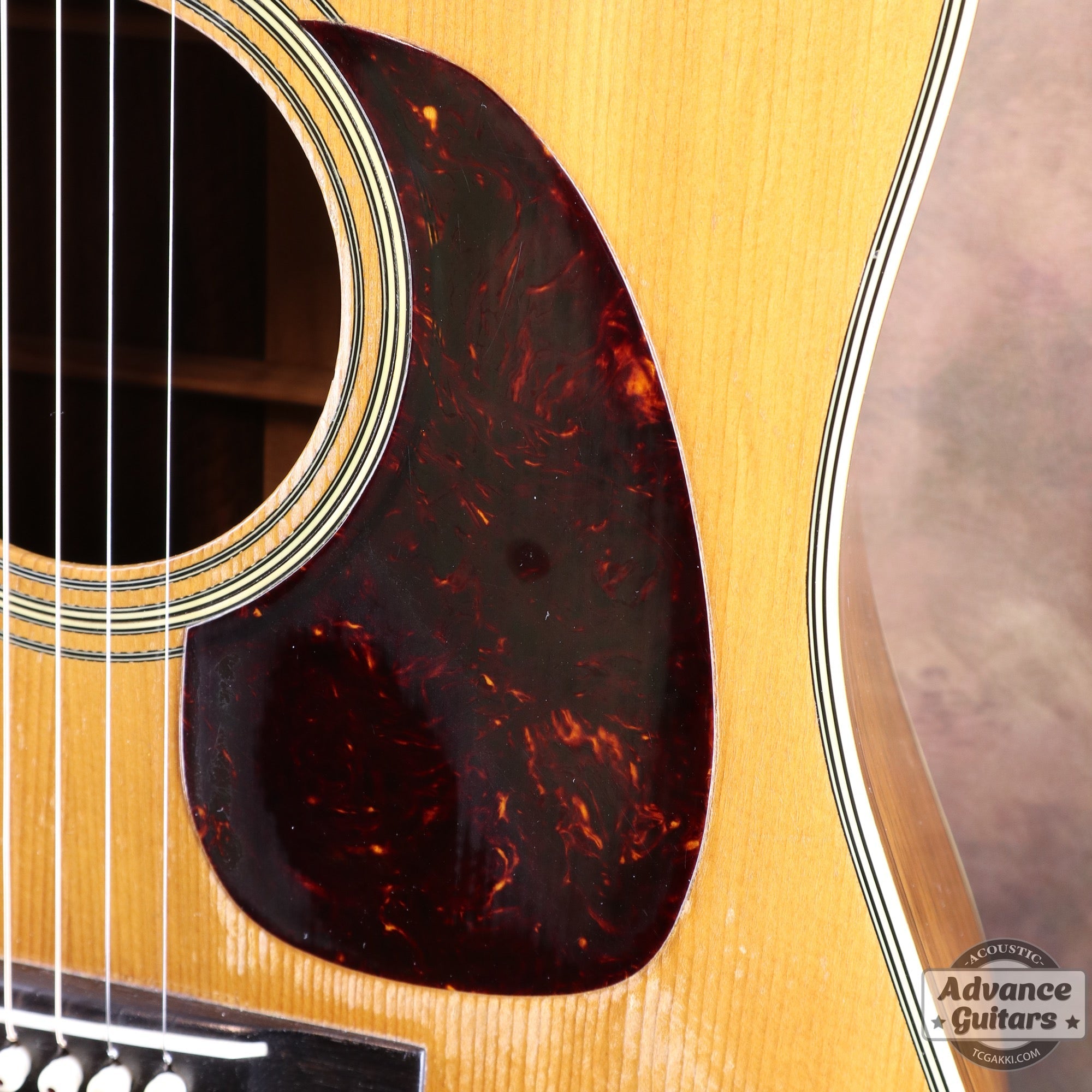 Martin 1955年製 D - 28 - TC楽器 - TCGAKKI