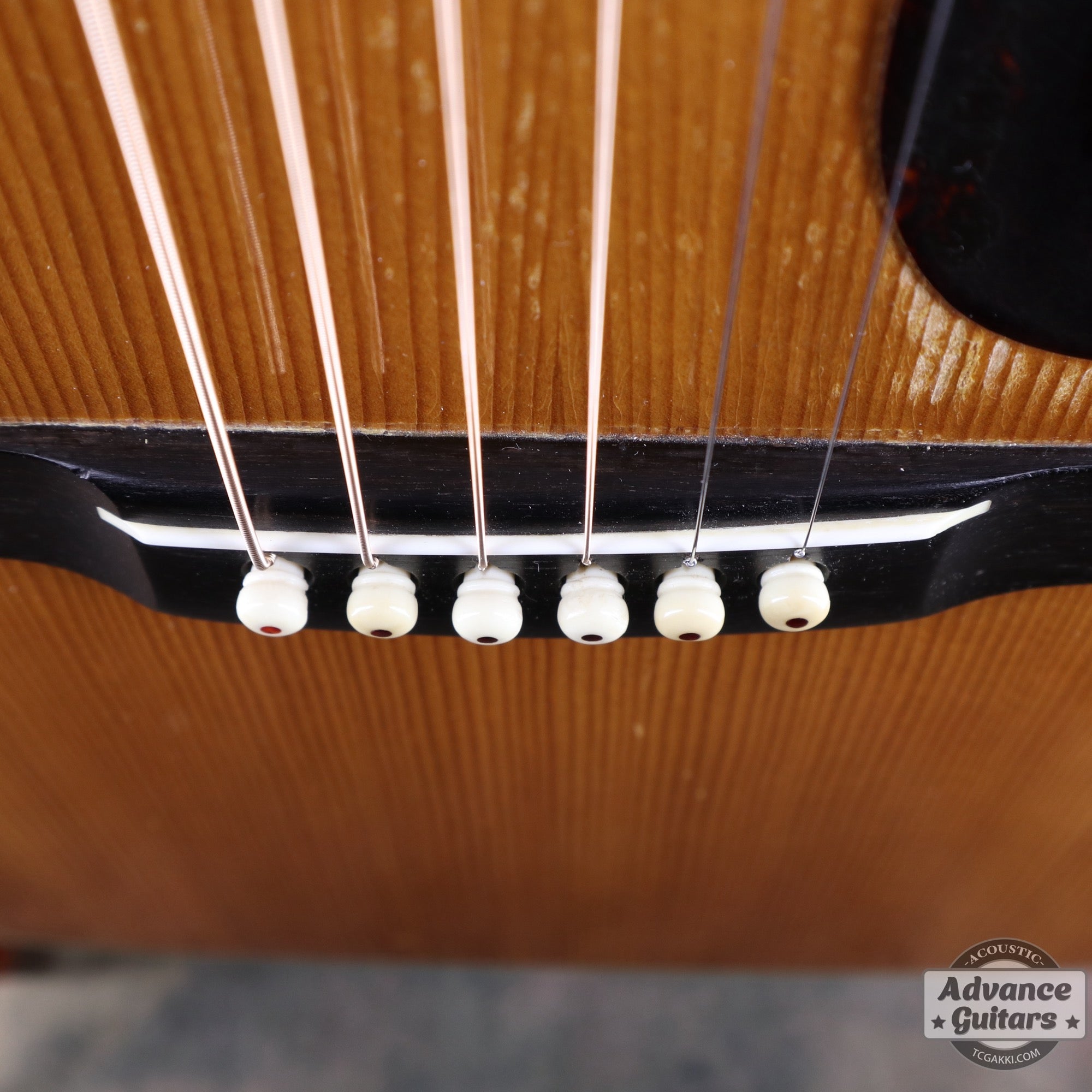 Martin 1955年製 D - 28 - TC楽器 - TCGAKKI