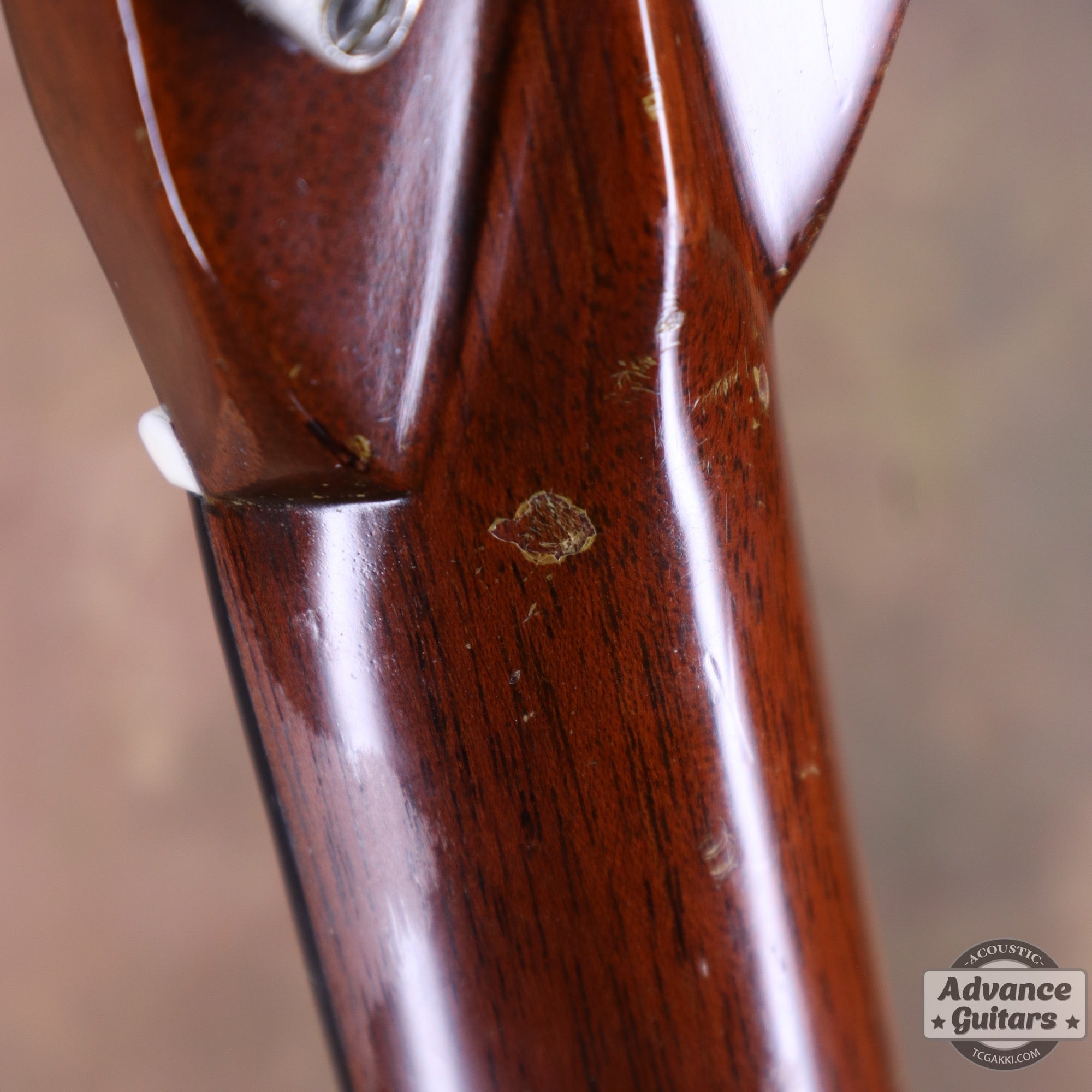 Martin 1955年製 D - 28 - TC楽器 - TCGAKKI