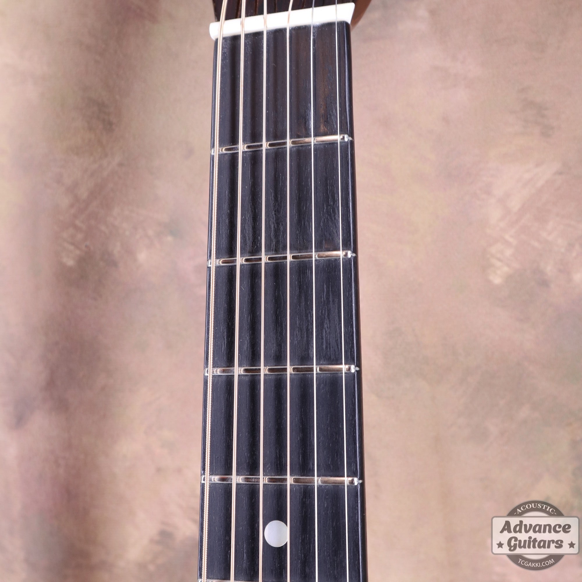 Martin 1955年製 D - 28 - TC楽器 - TCGAKKI