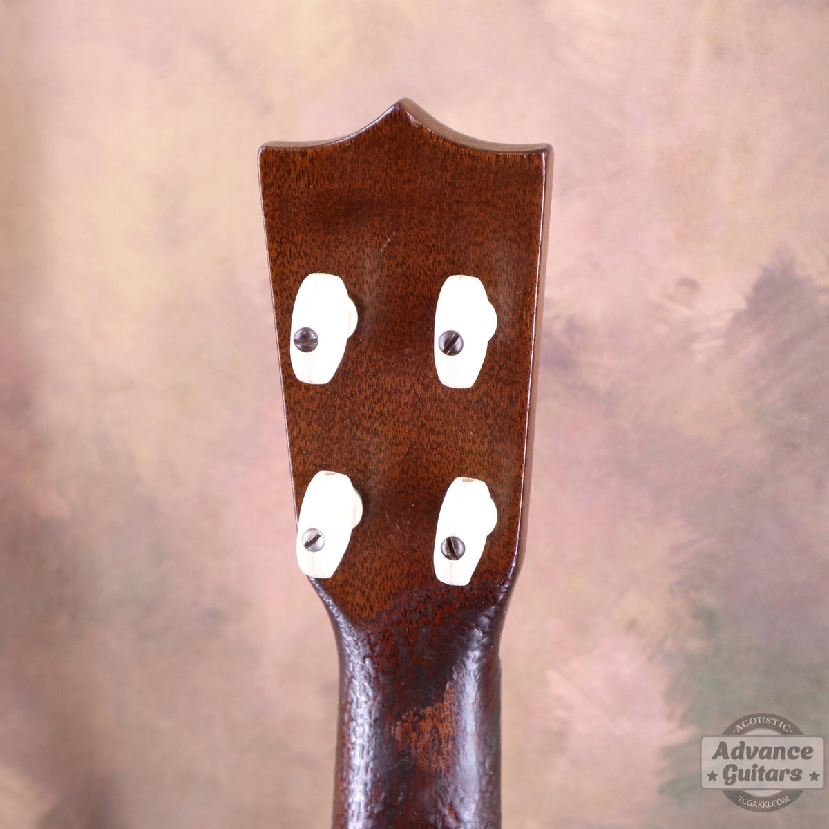 Martin 1956〜1961年製 Style-1 - TC楽器 - TCGAKKI