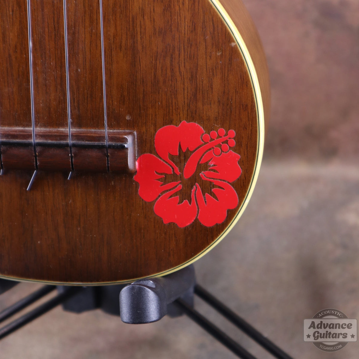 Martin 1956〜1961年製 Style-1 - TC楽器 - TCGAKKI