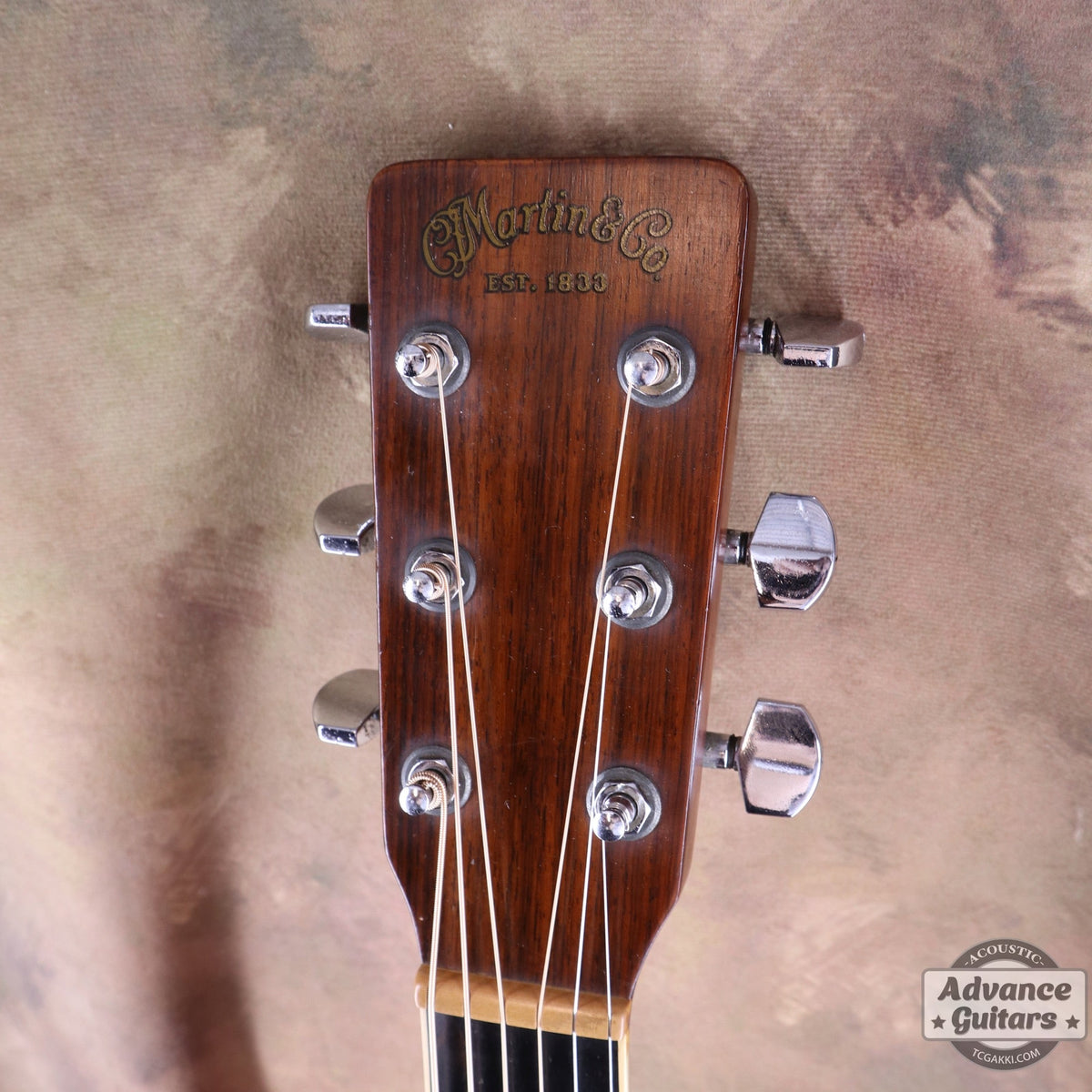 Martin 1979年製 D-35 - TC楽器 - TCGAKKI