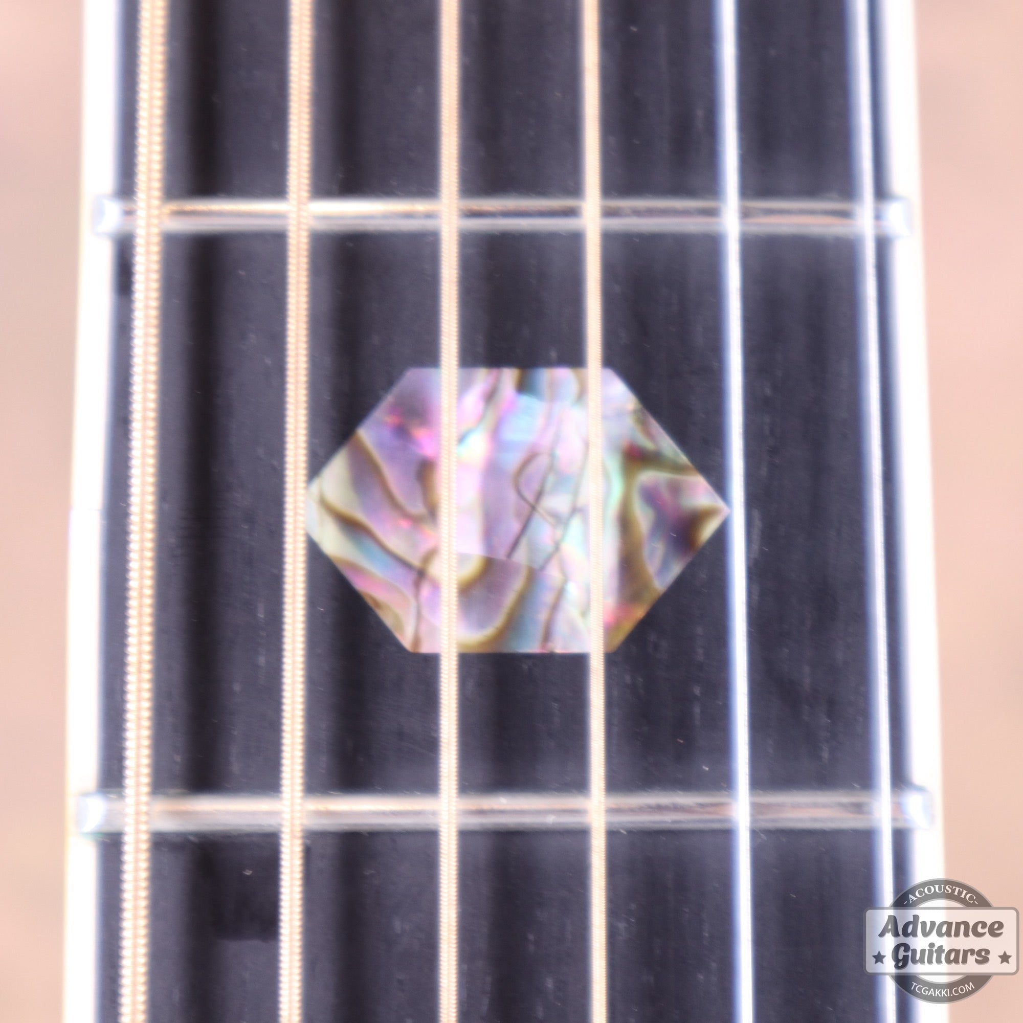 Martin 2008年製 D-45 - TC楽器 - TCGAKKI