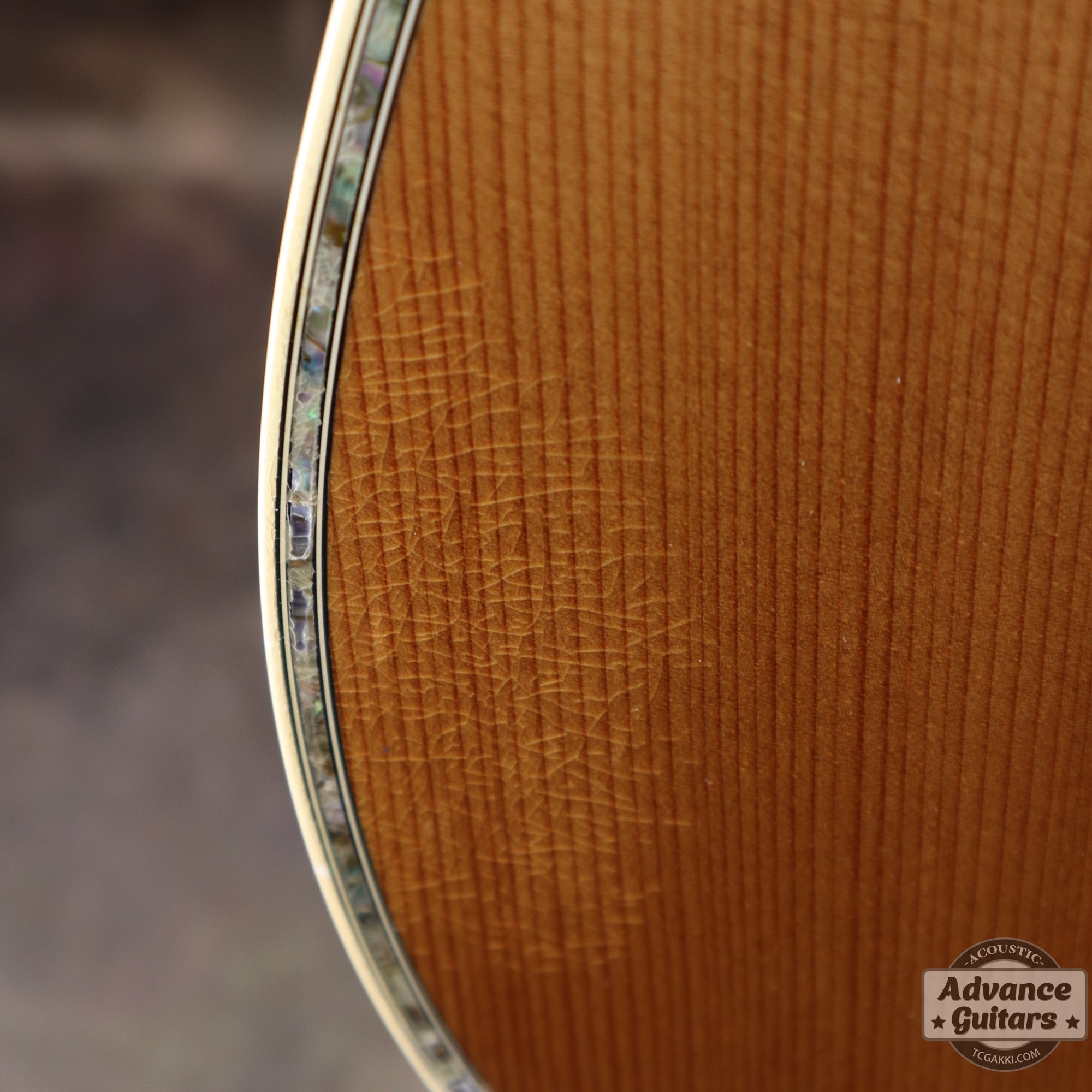 Martin 2008年製 D-45 - TC楽器 - TCGAKKI