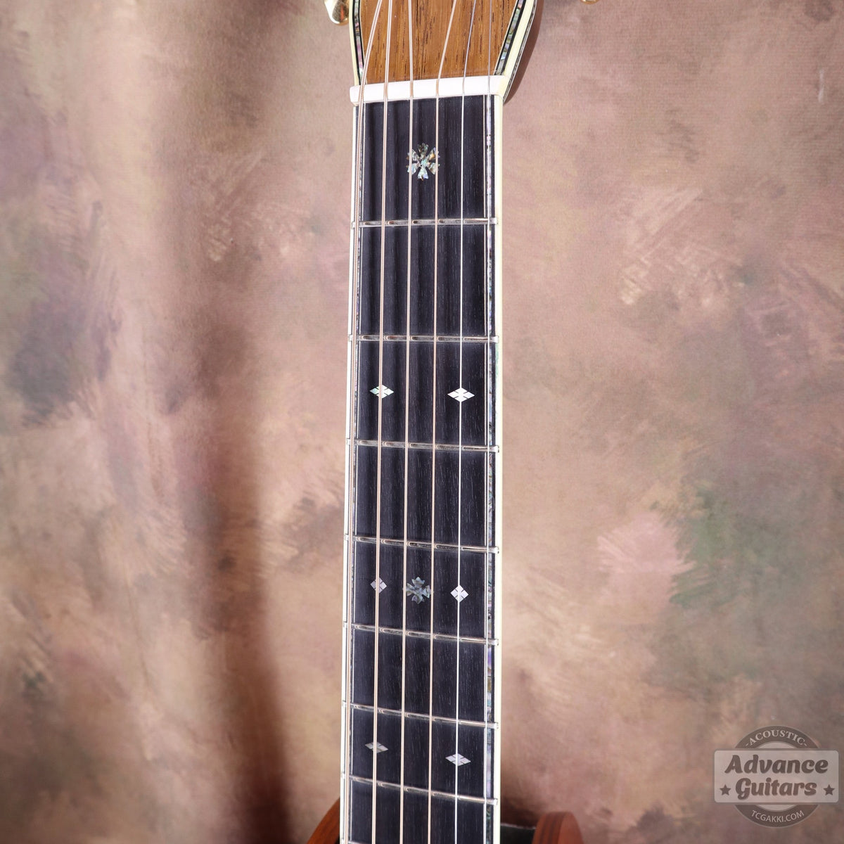Martin 200th Anniversary D-45 Deluxe Commemorative - TC楽器 - TCGAKKI