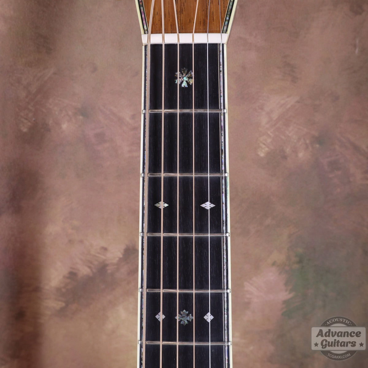 Martin 200th Anniversary D-45 Deluxe Commemorative - TC楽器 - TCGAKKI