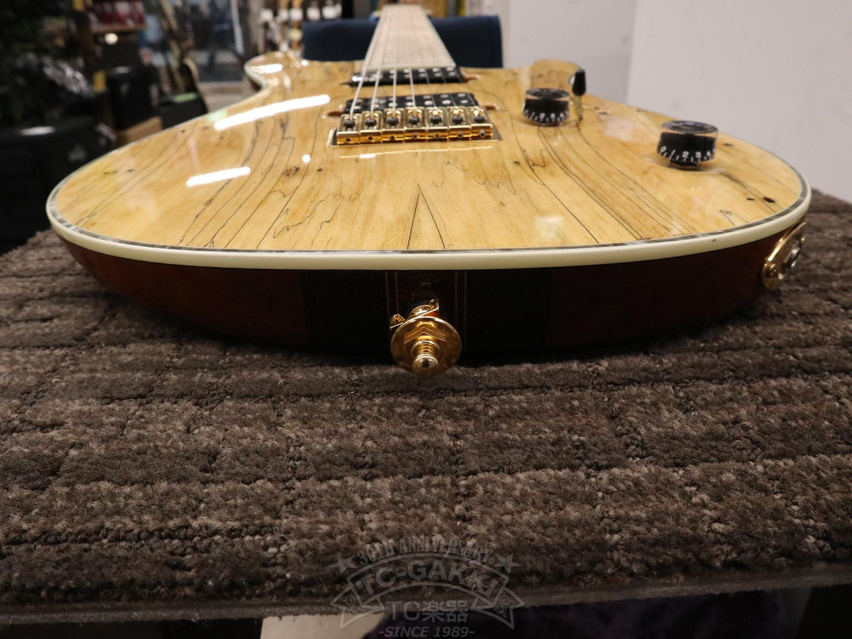 Mayones Regius 7 - TC楽器 - TCGAKKI