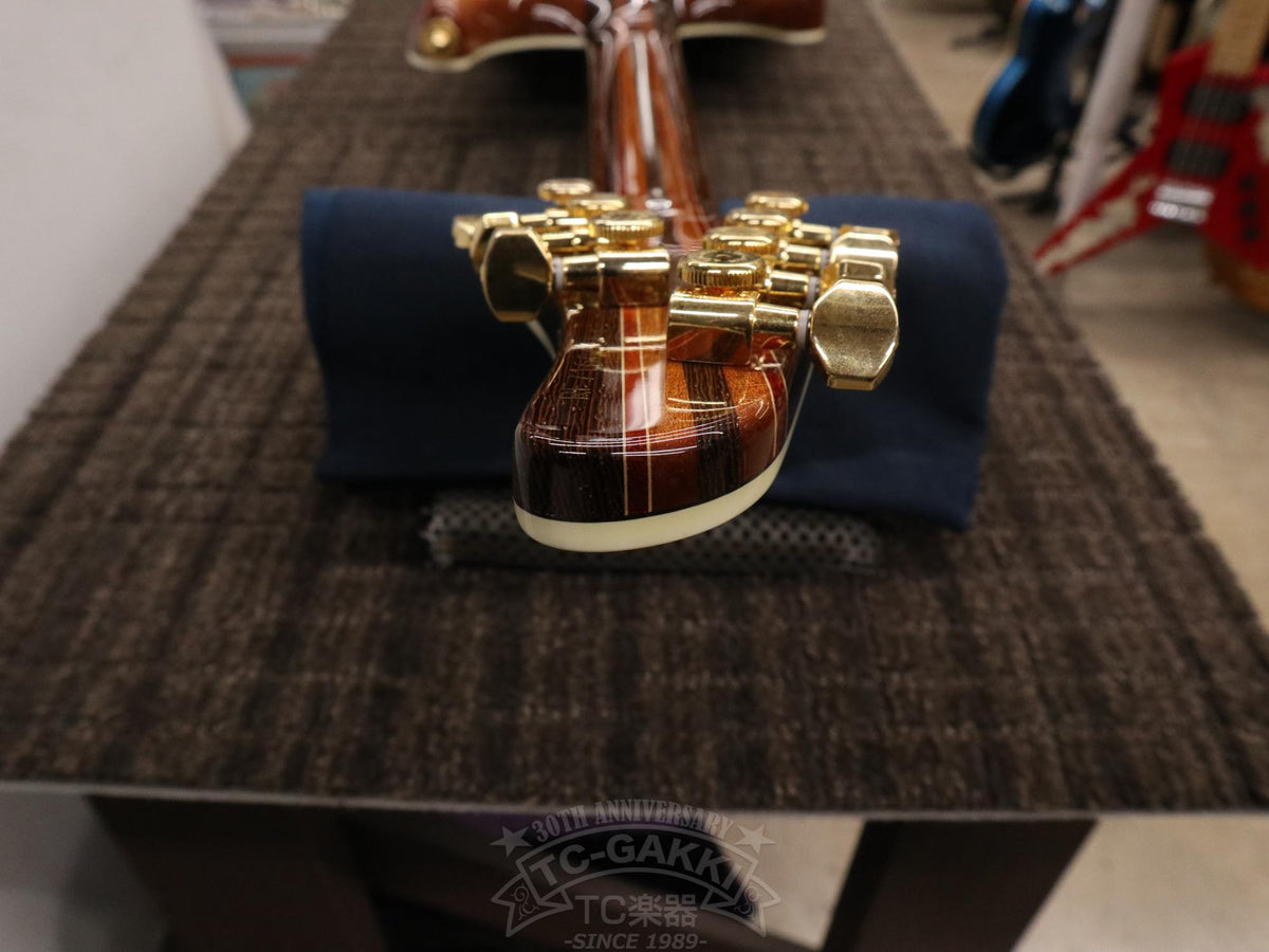 Mayones Regius 7 - TC楽器 - TCGAKKI