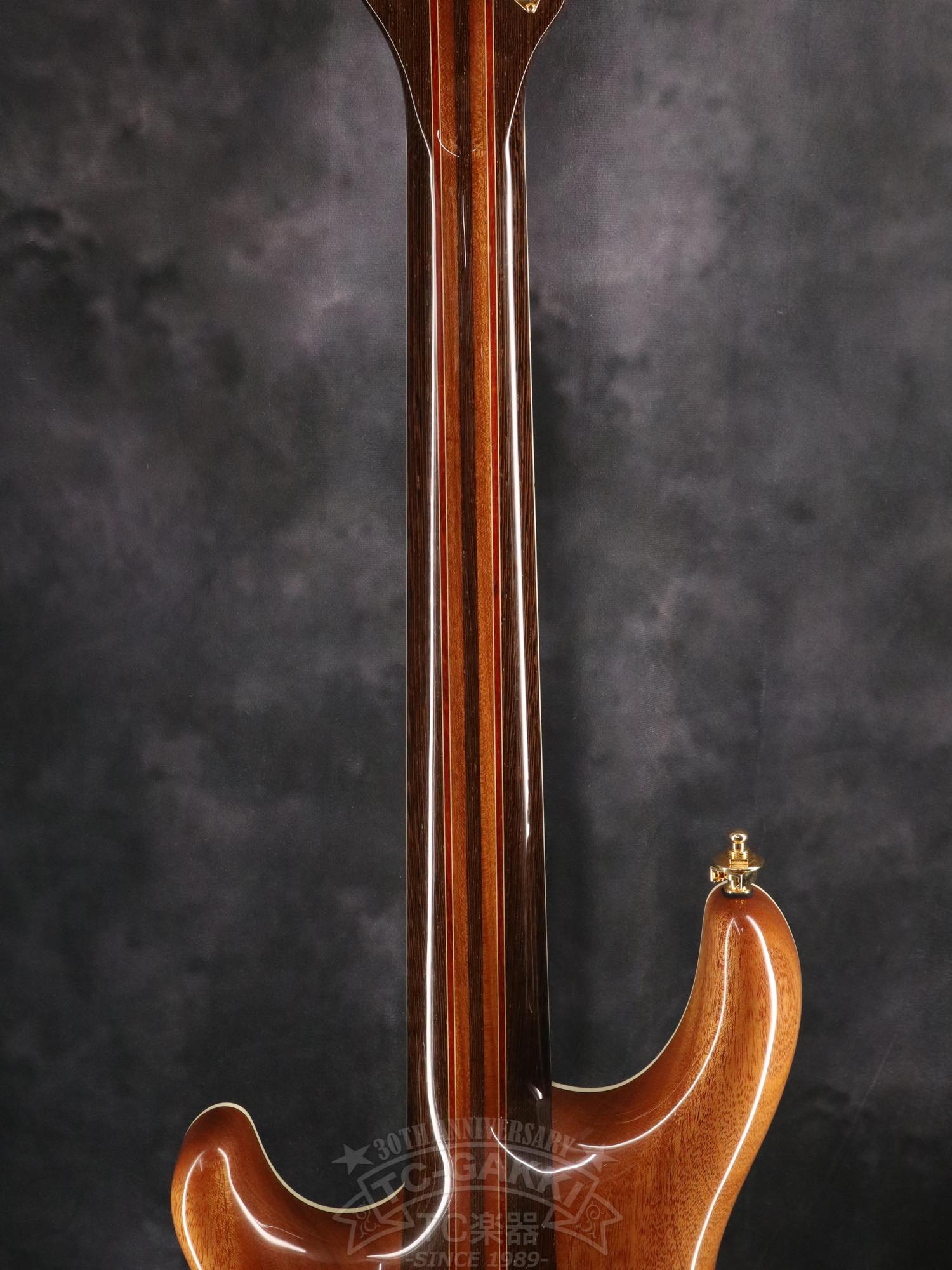 Mayones Regius 7 - TC楽器 - TCGAKKI