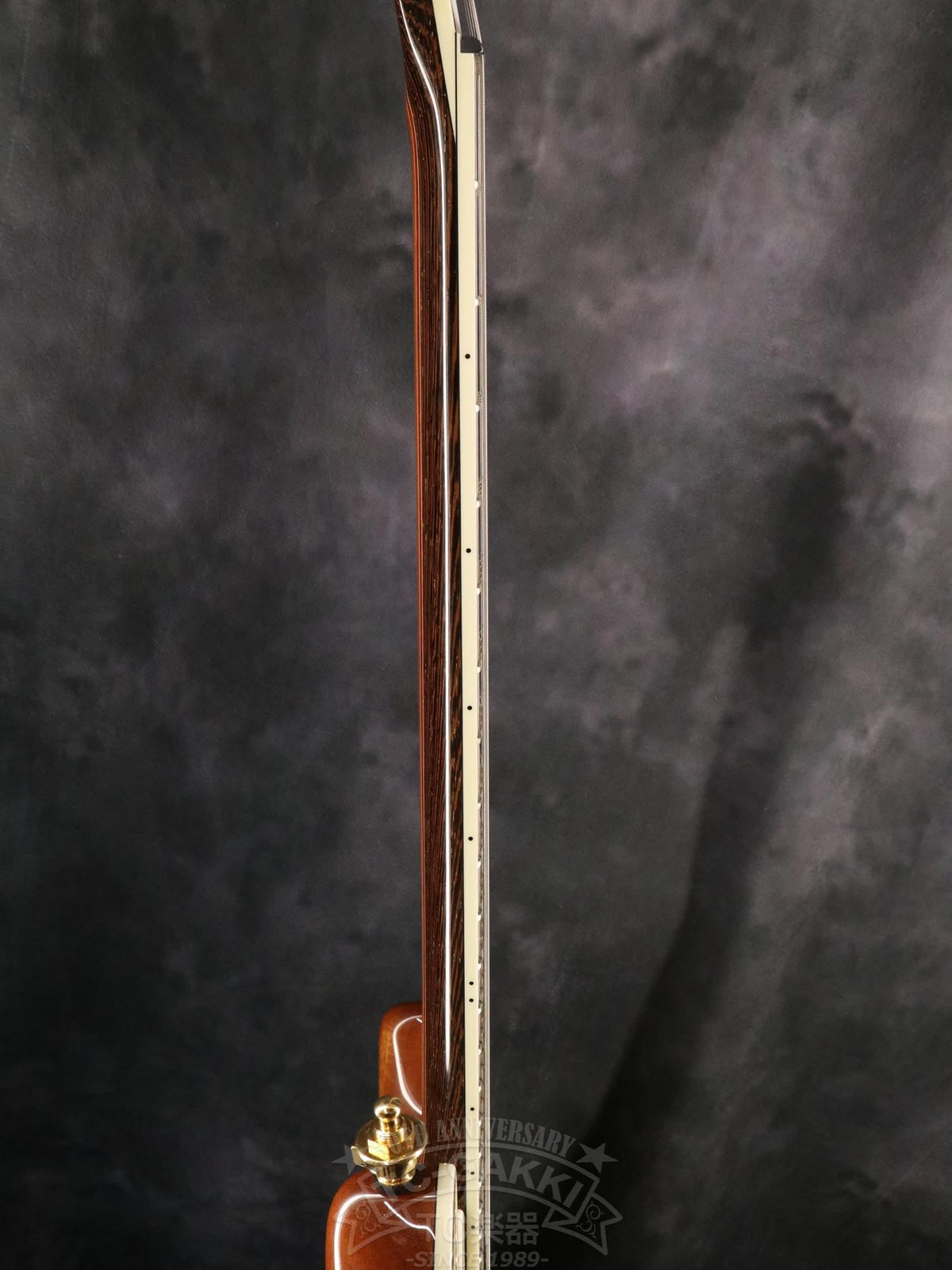 Mayones Regius 7 - TC楽器 - TCGAKKI